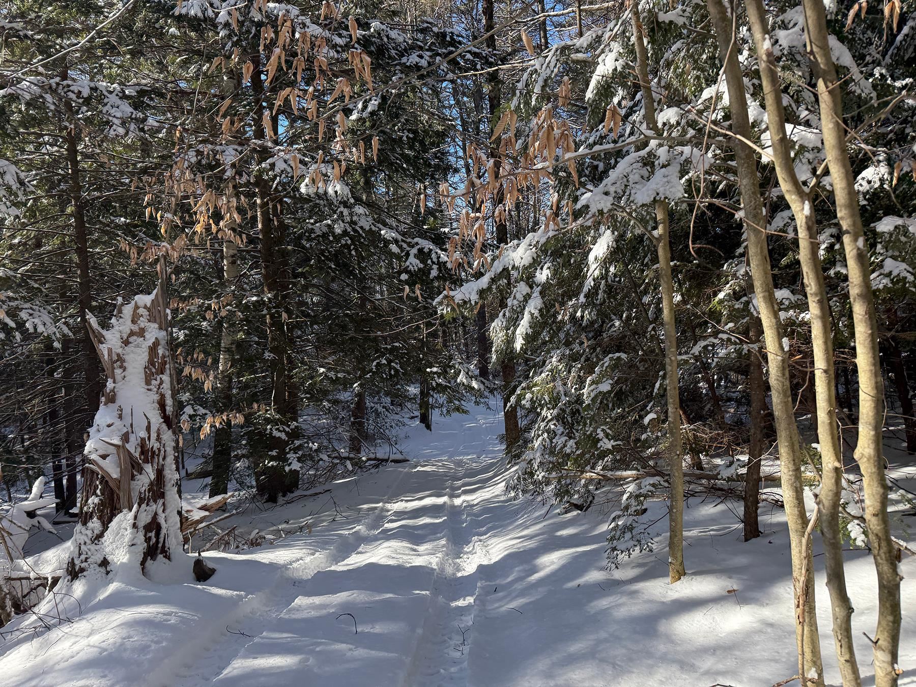 Province Road