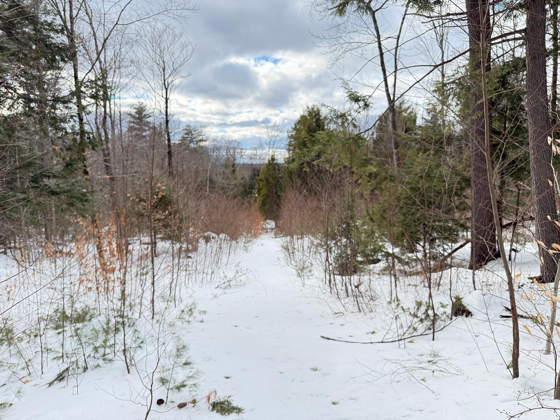 Province Road