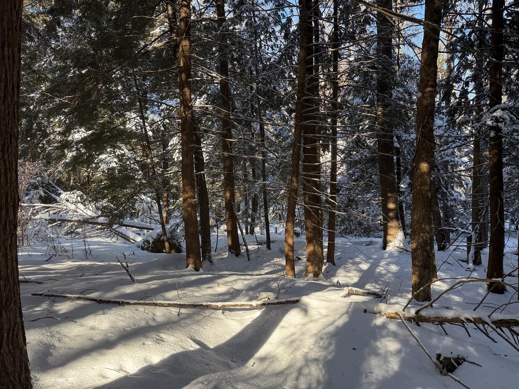Province Road