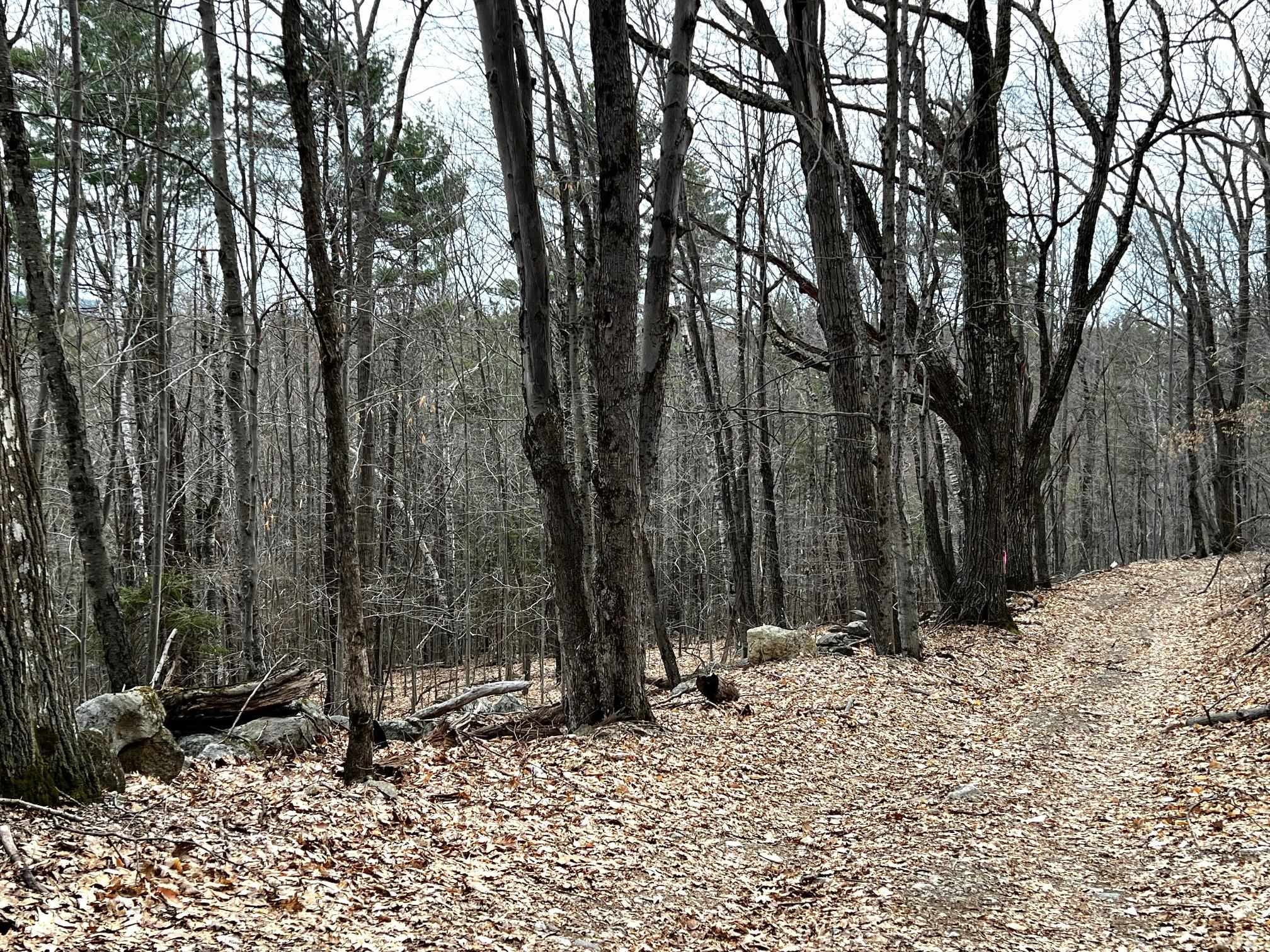 207000001 South Range Road