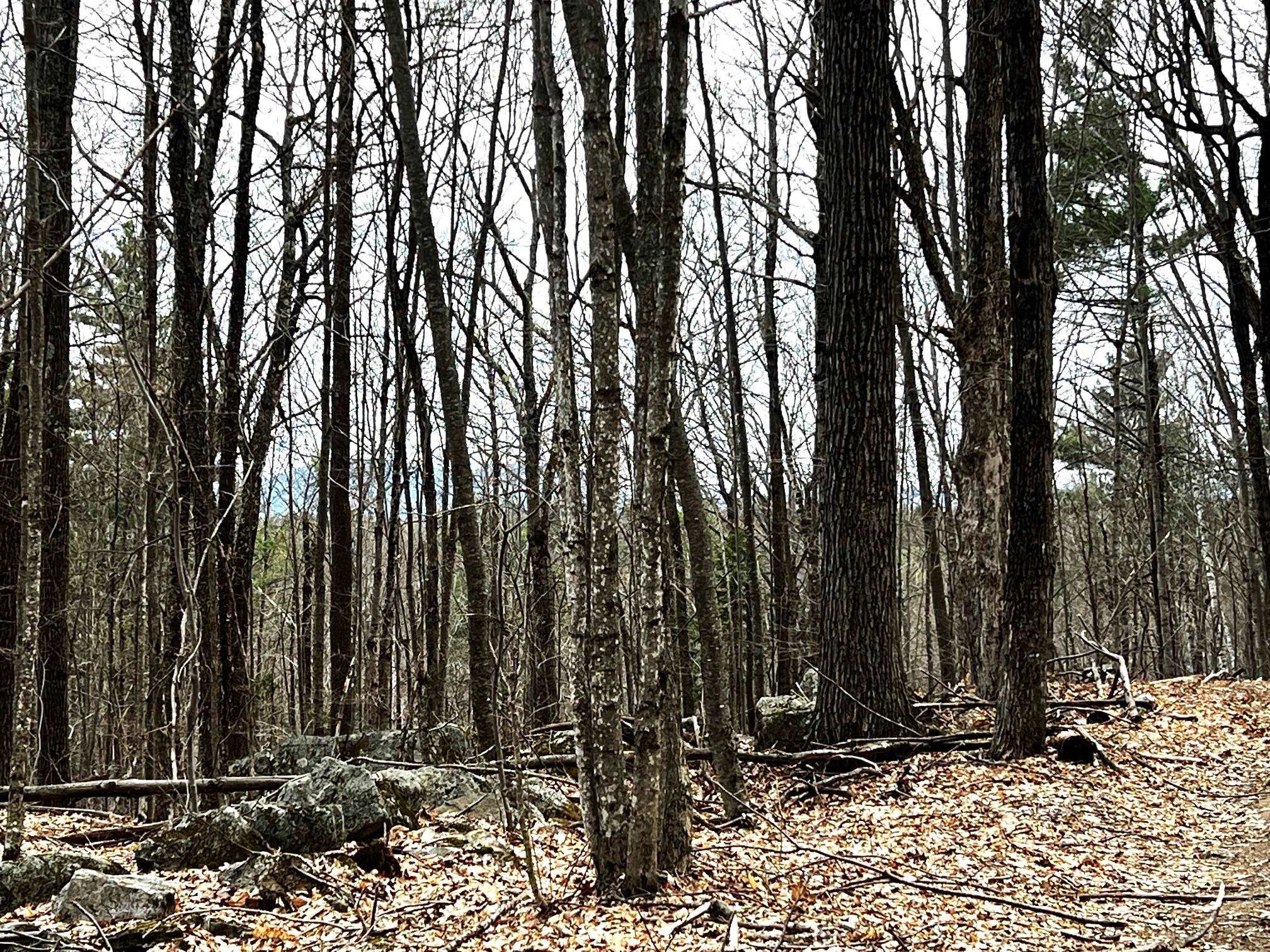 207000001 South Range Road