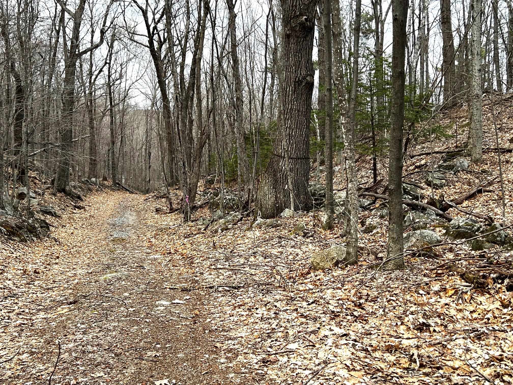 207000001 South Range Road