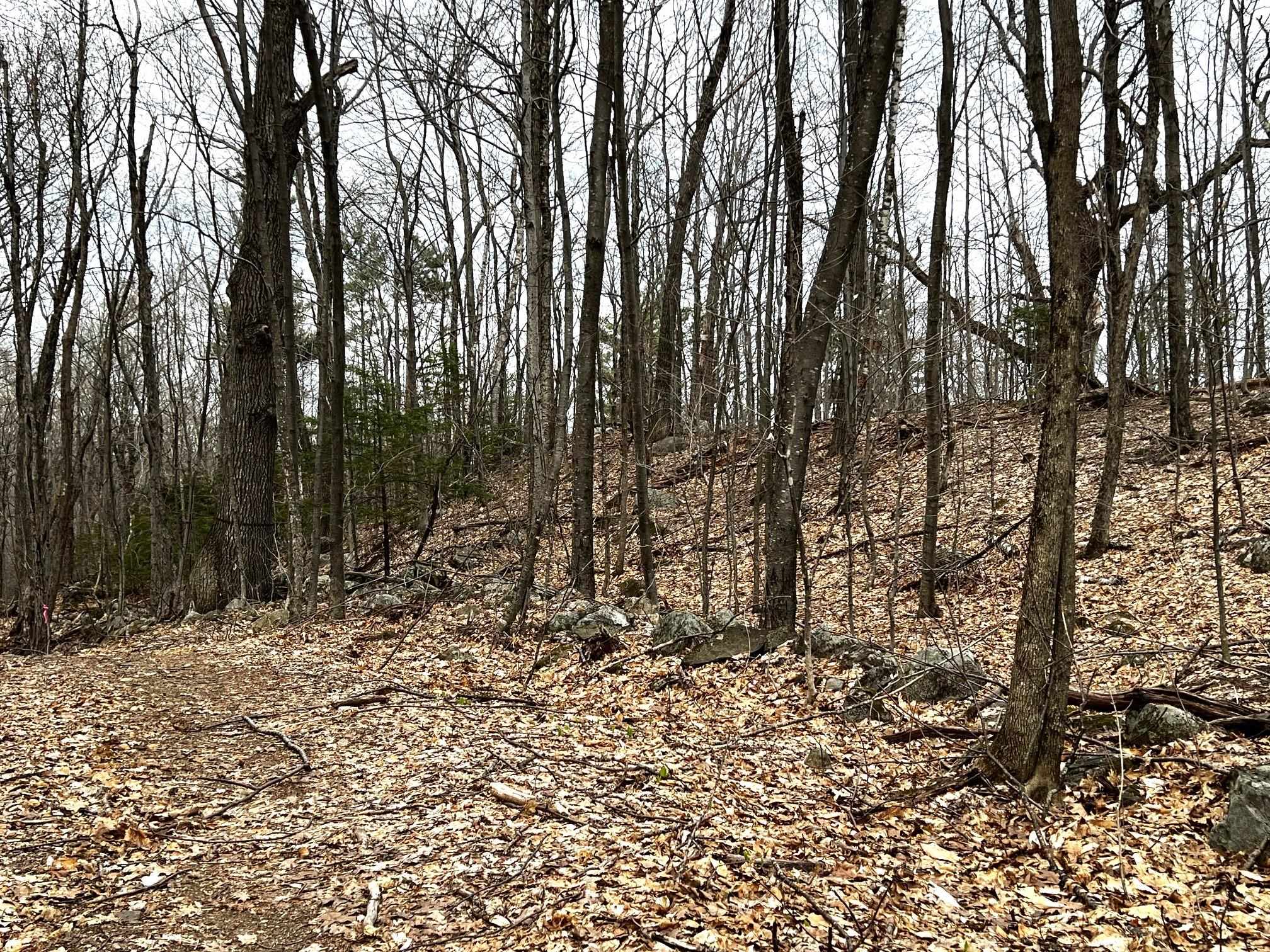 207000001 South Range Road