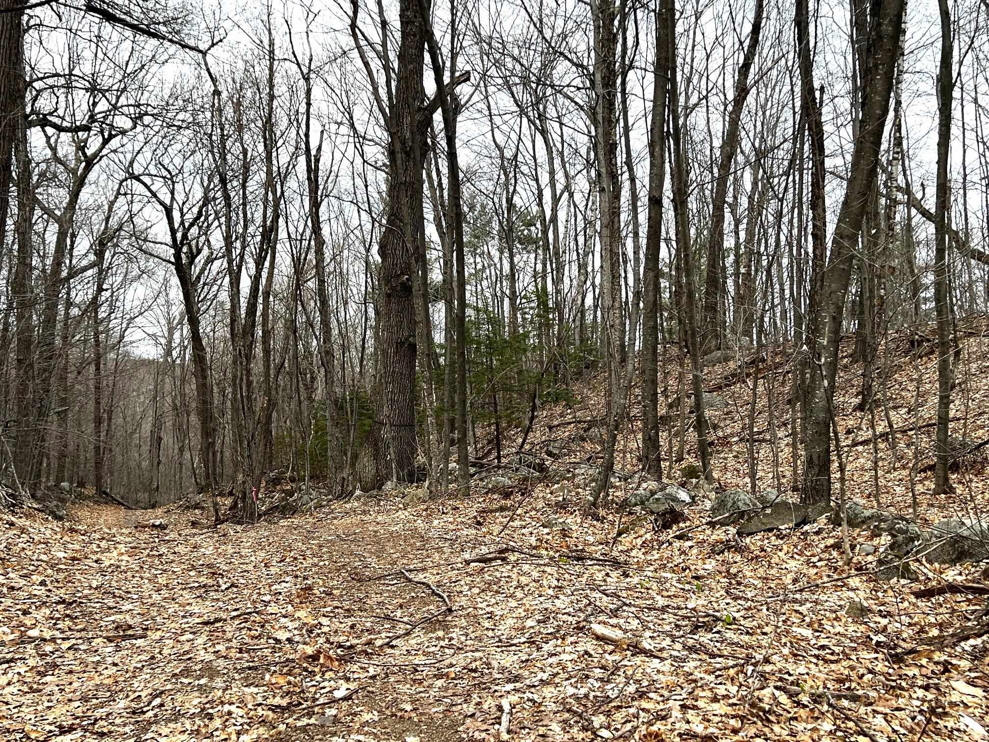 207000001 South Range Road