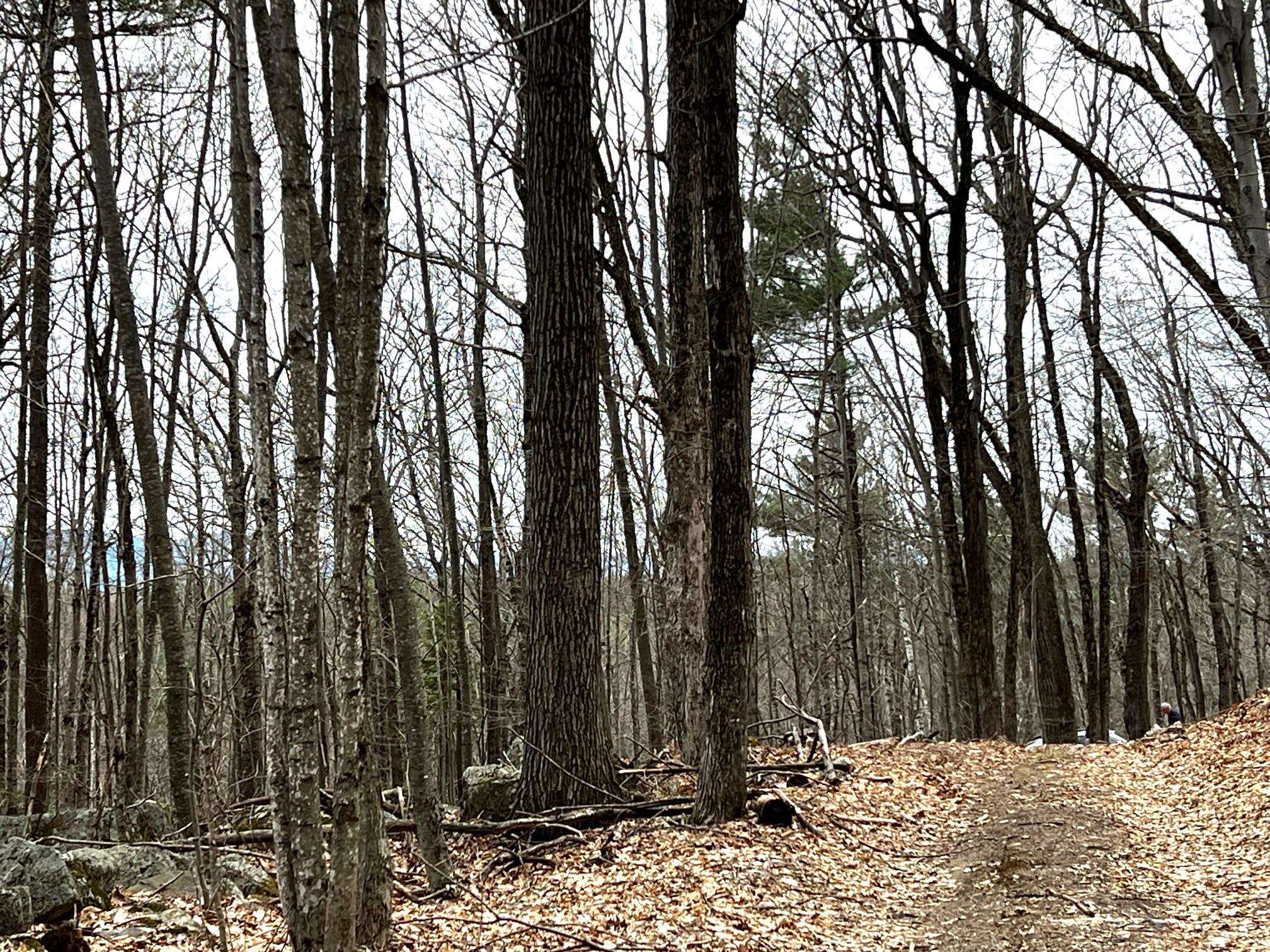 207000001 South Range Road