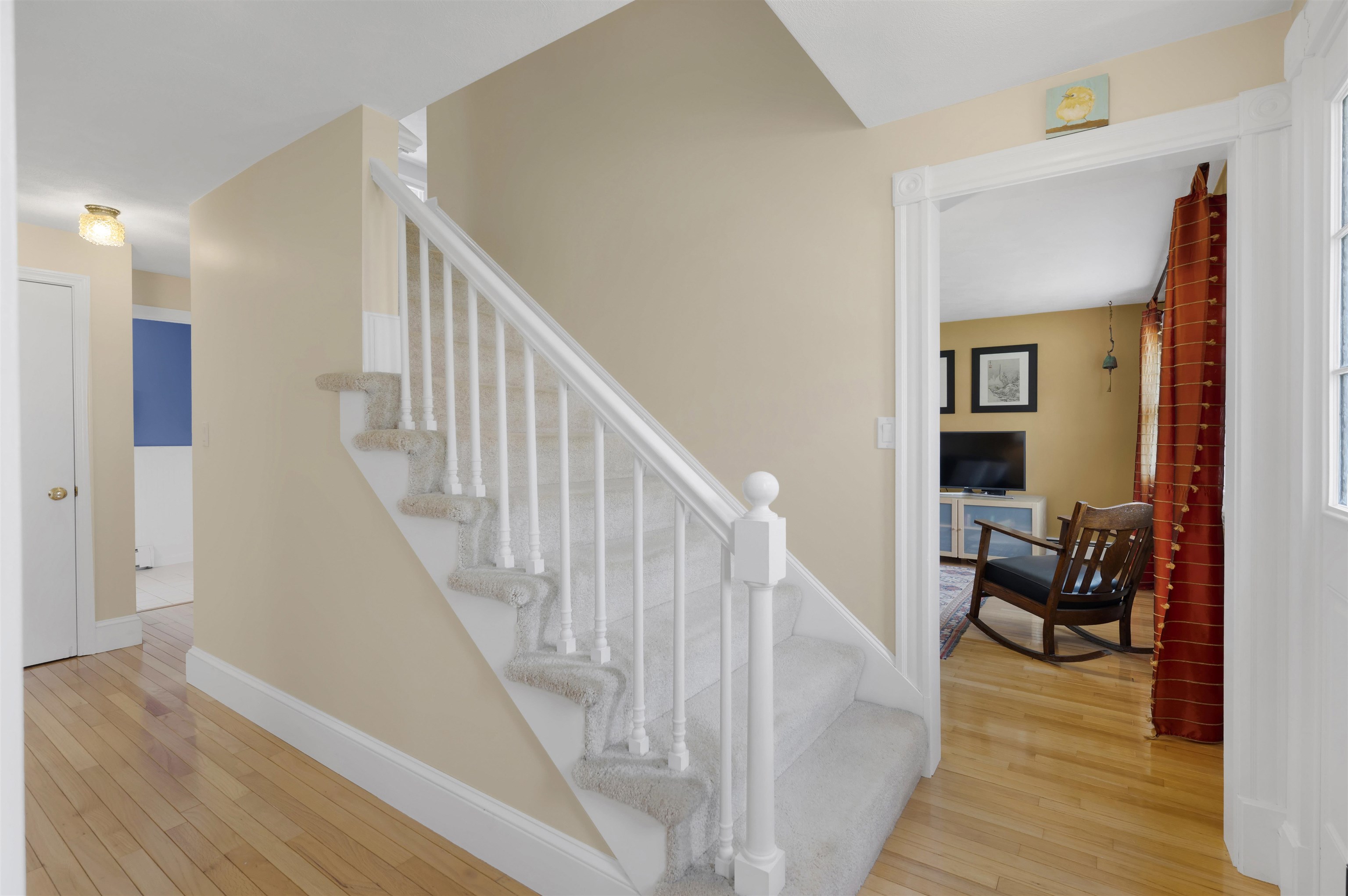 12 Thelma Drive