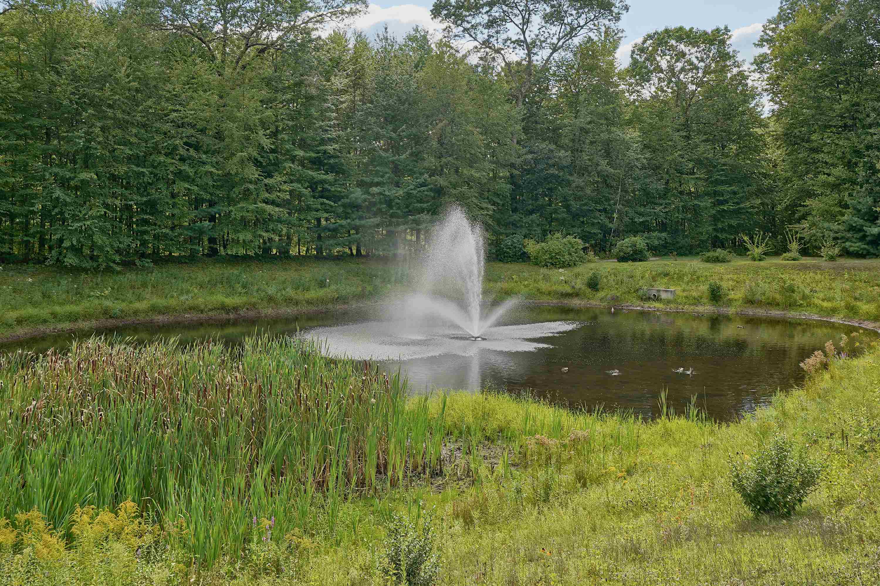 4 Sterling Hill Lane Unit: 428