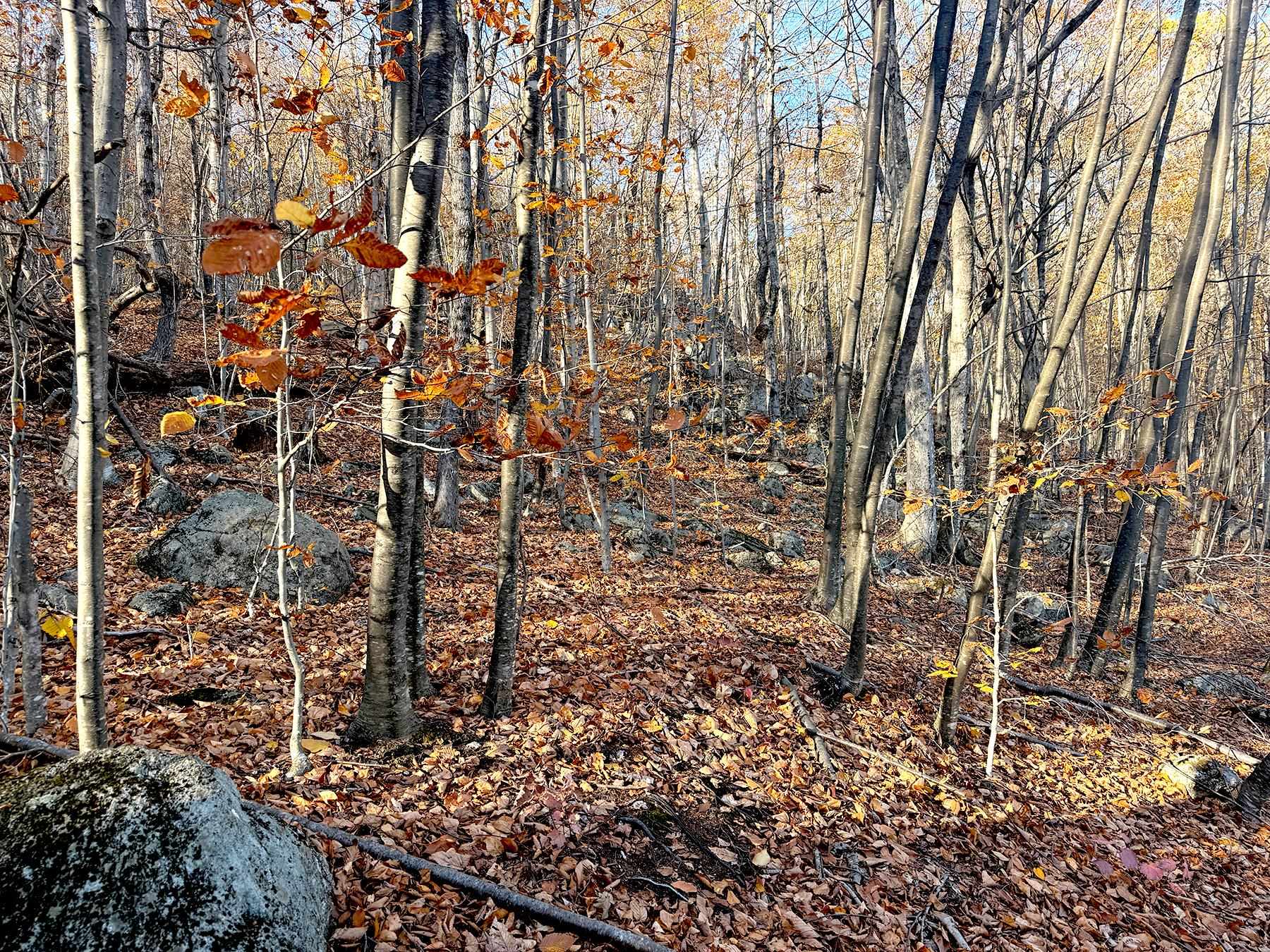 142 Henniker Road