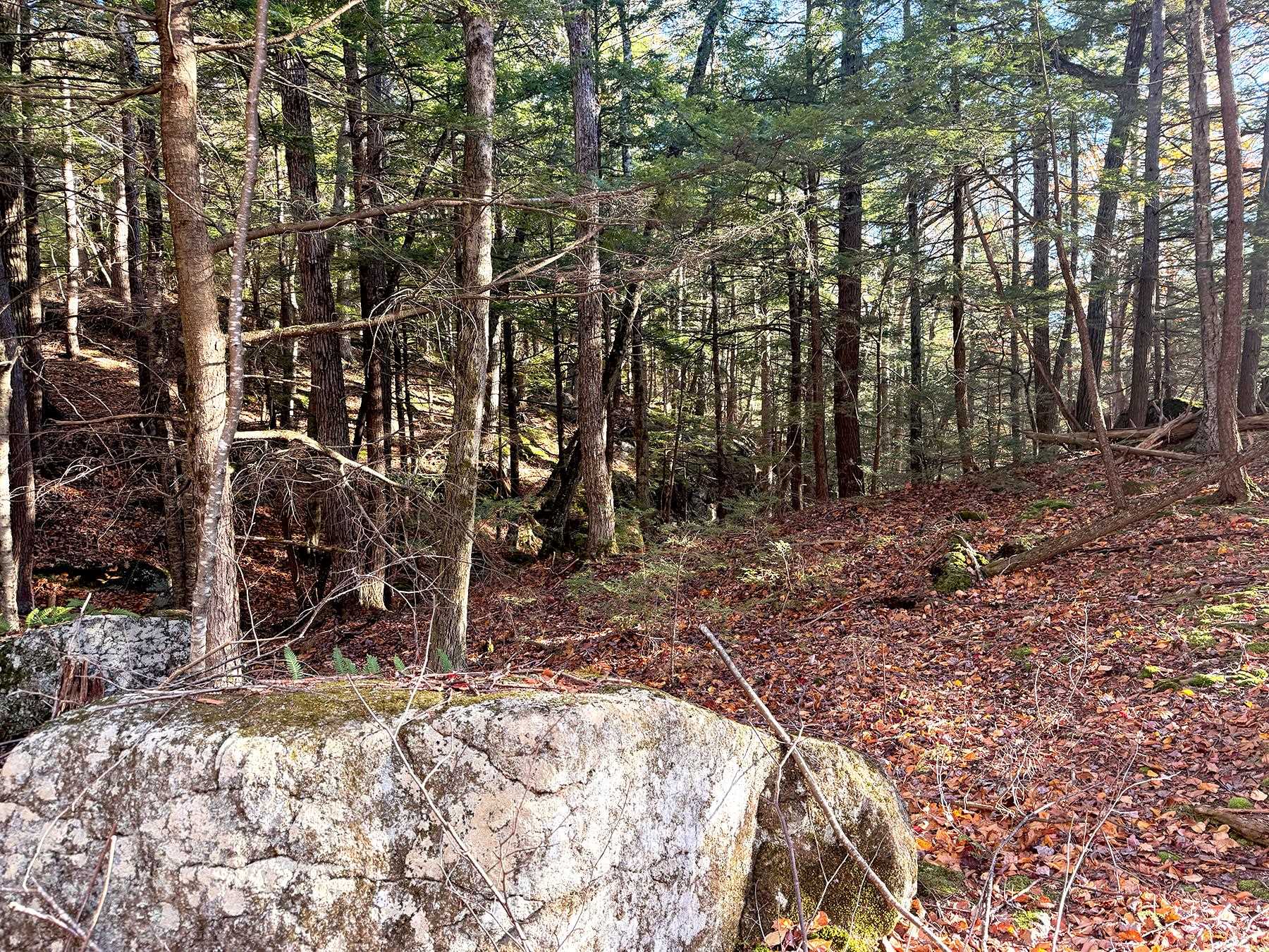 142 Henniker Road