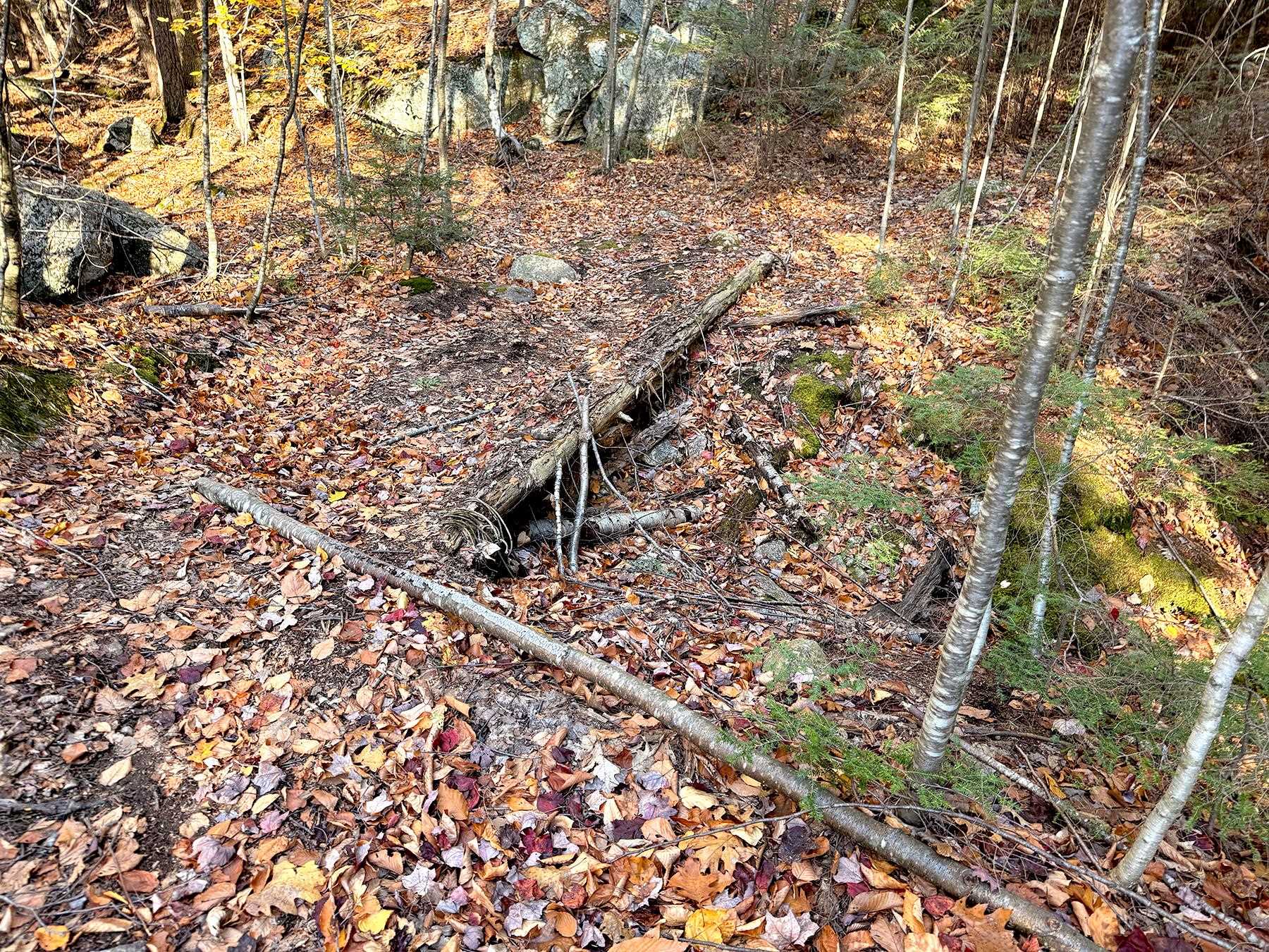 142 Henniker Road