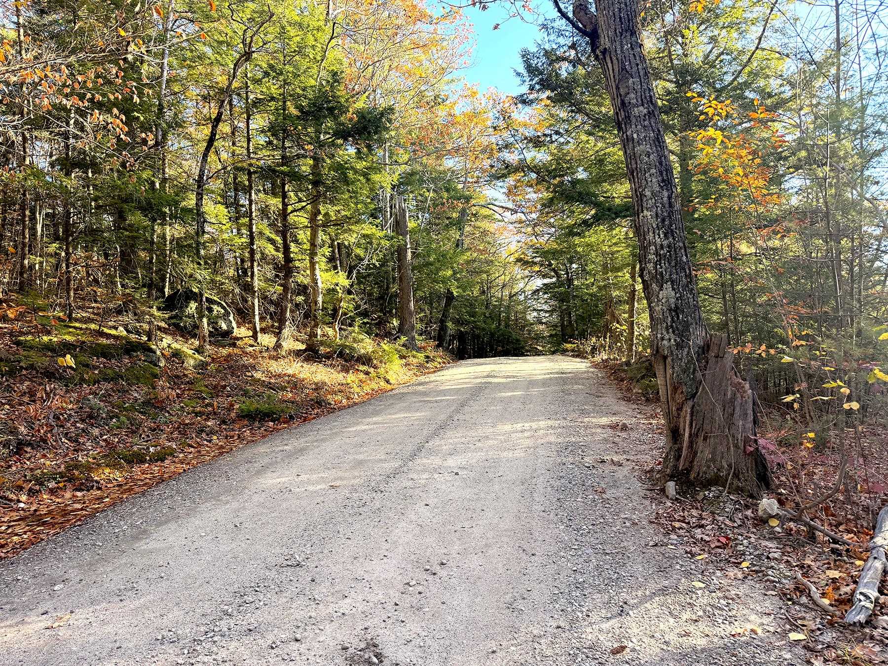 142 Henniker Road