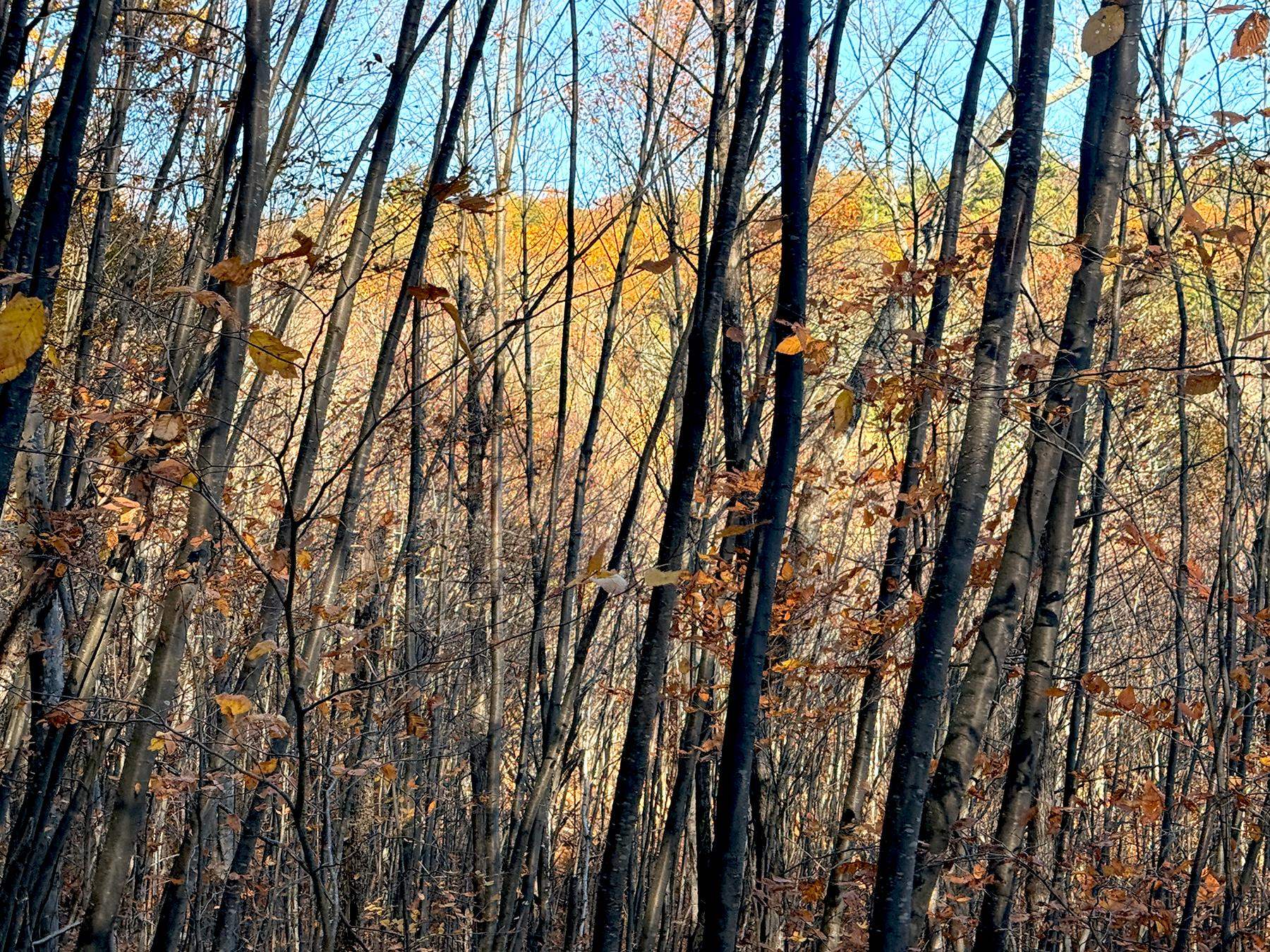 142 Henniker Road