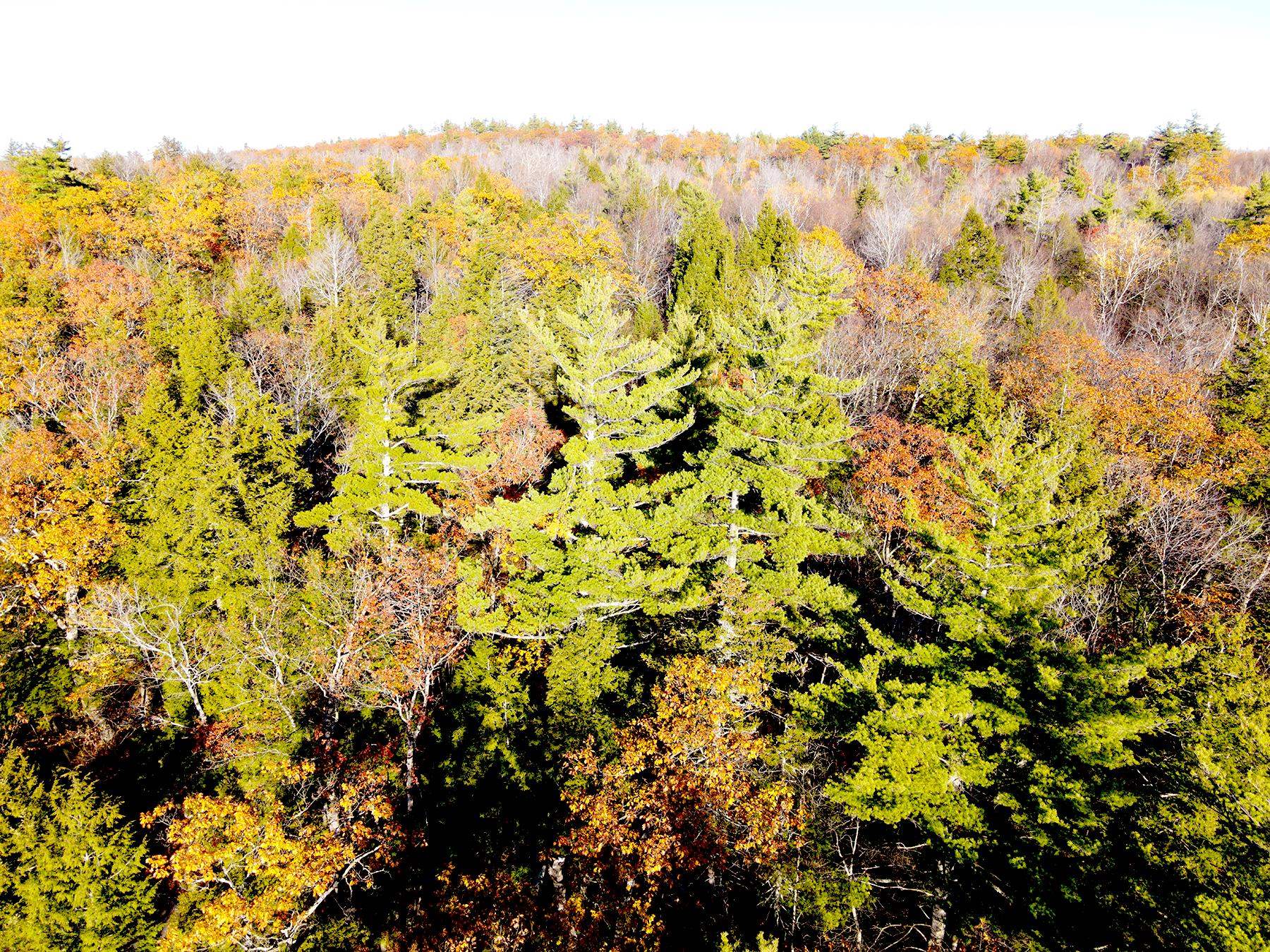 142 Henniker Road