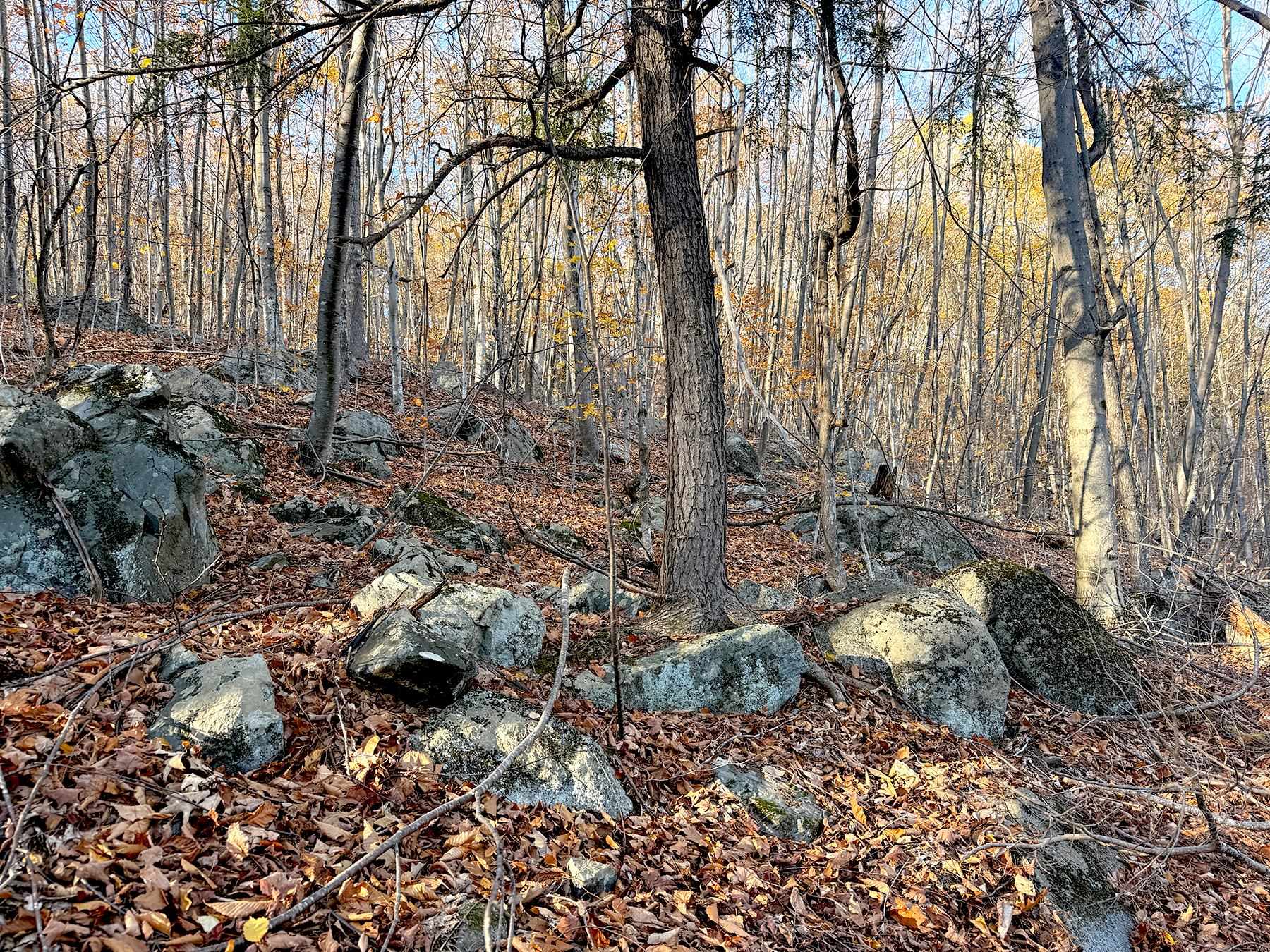 142 Henniker Road