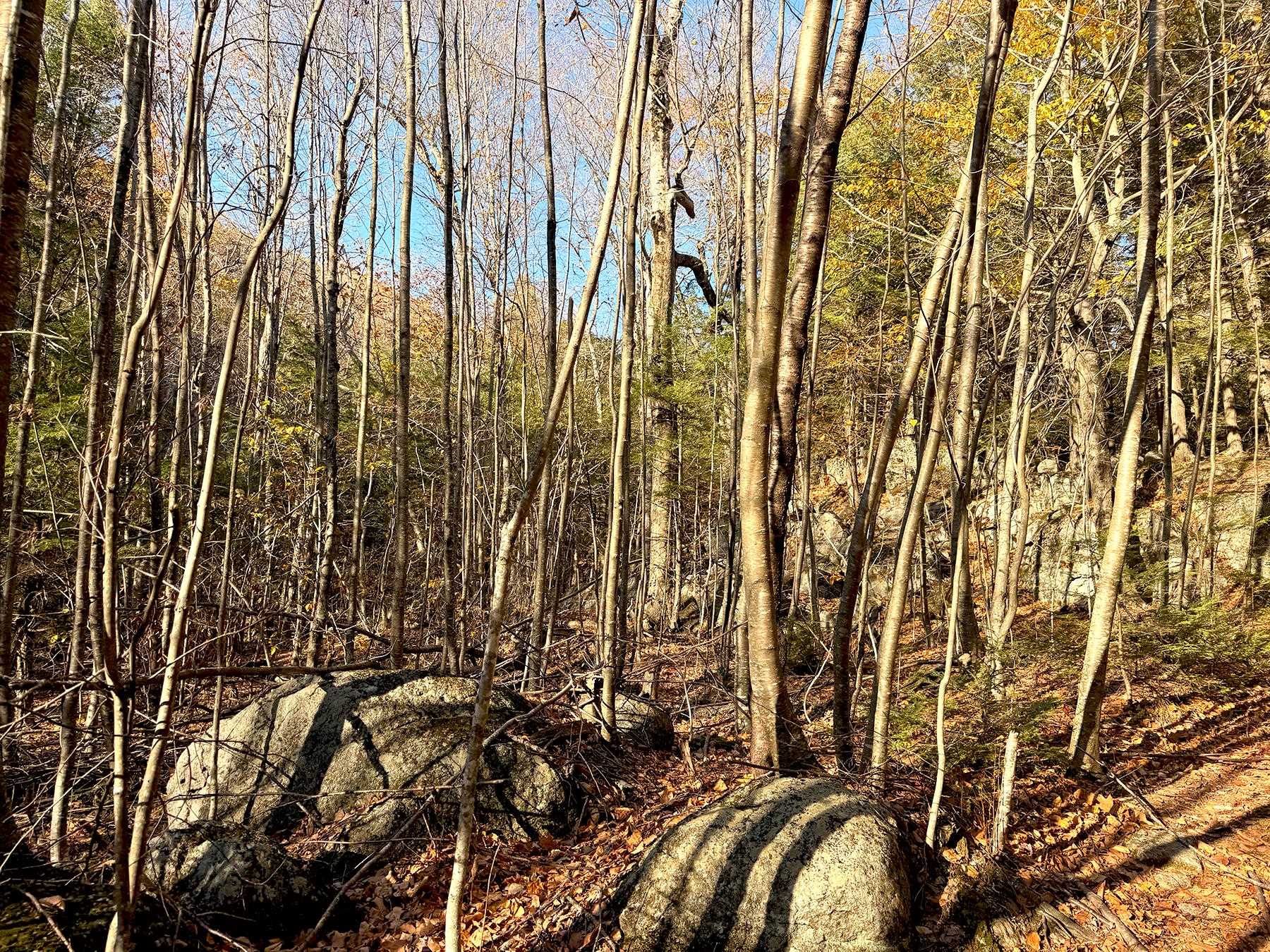 142 Henniker Road