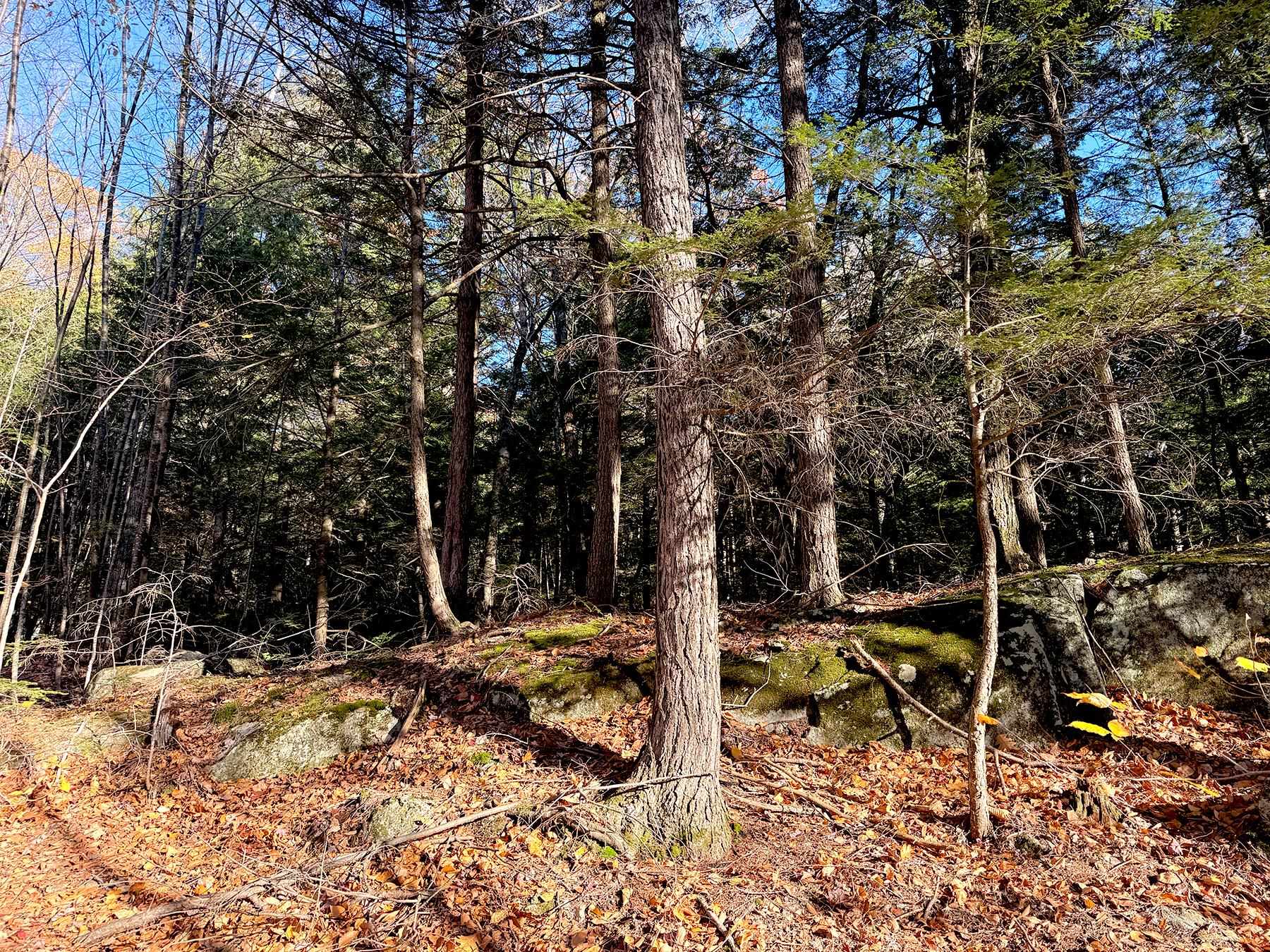 142 Henniker Road