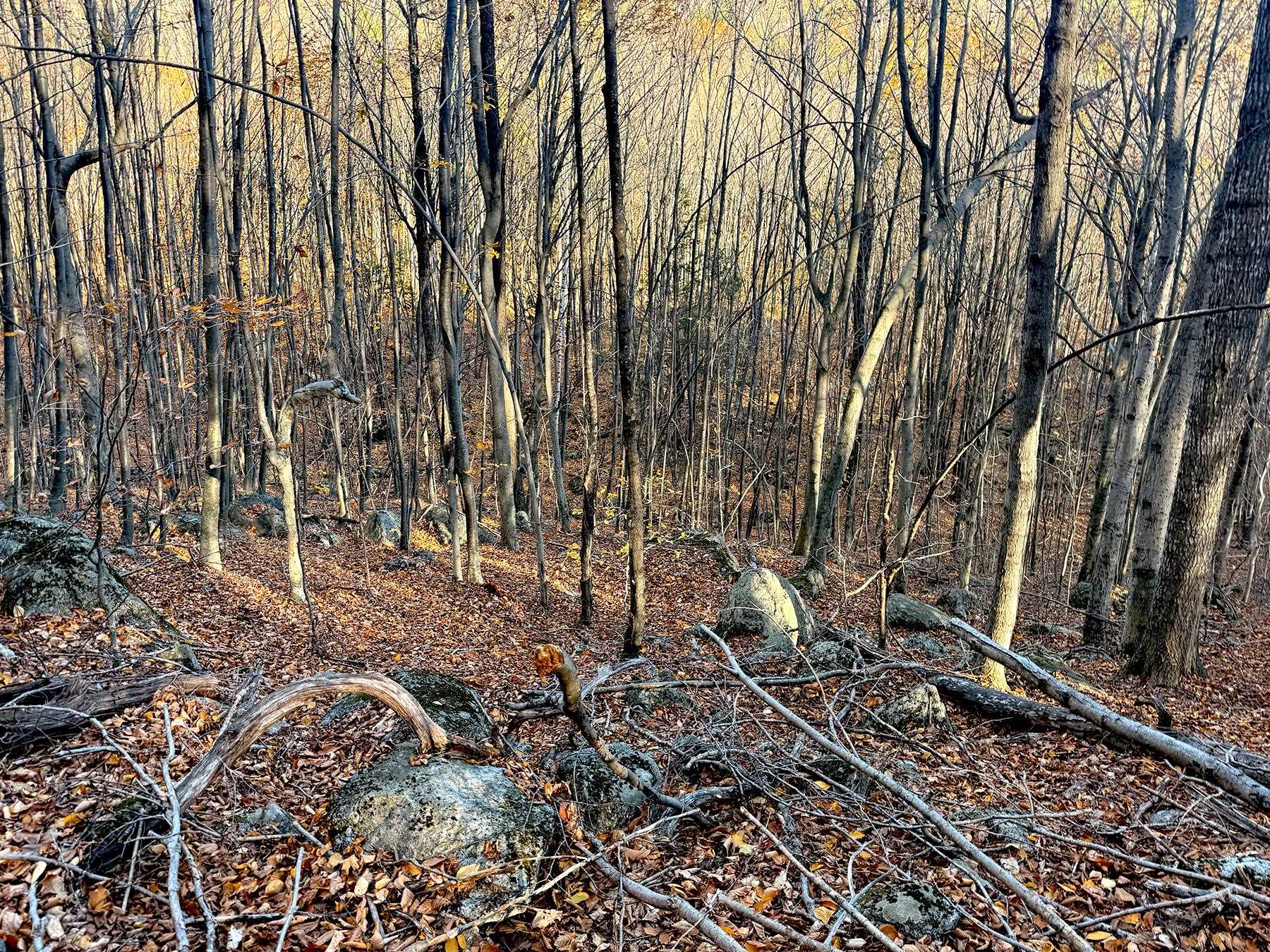 142 Henniker Road