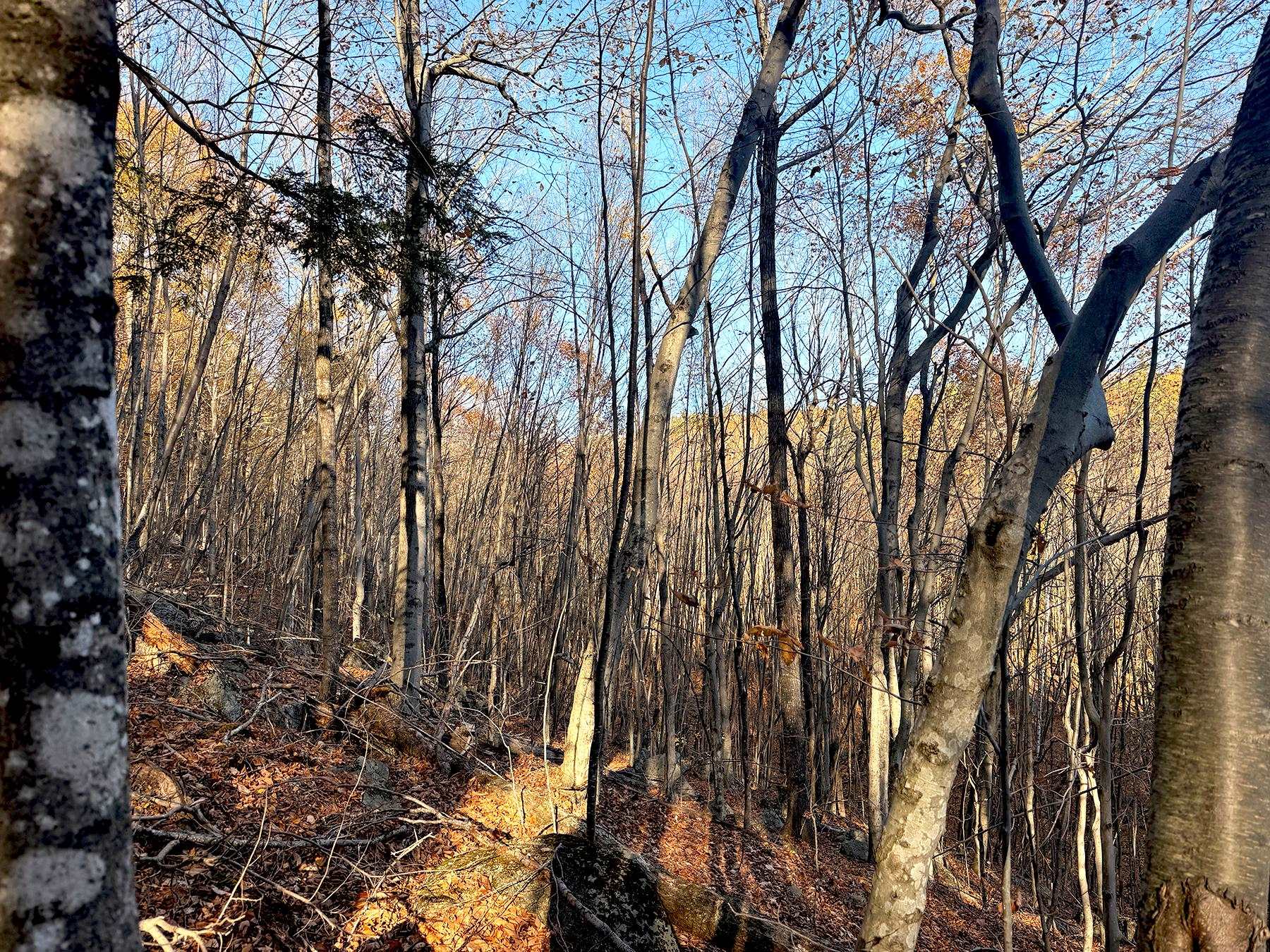 142 Henniker Road