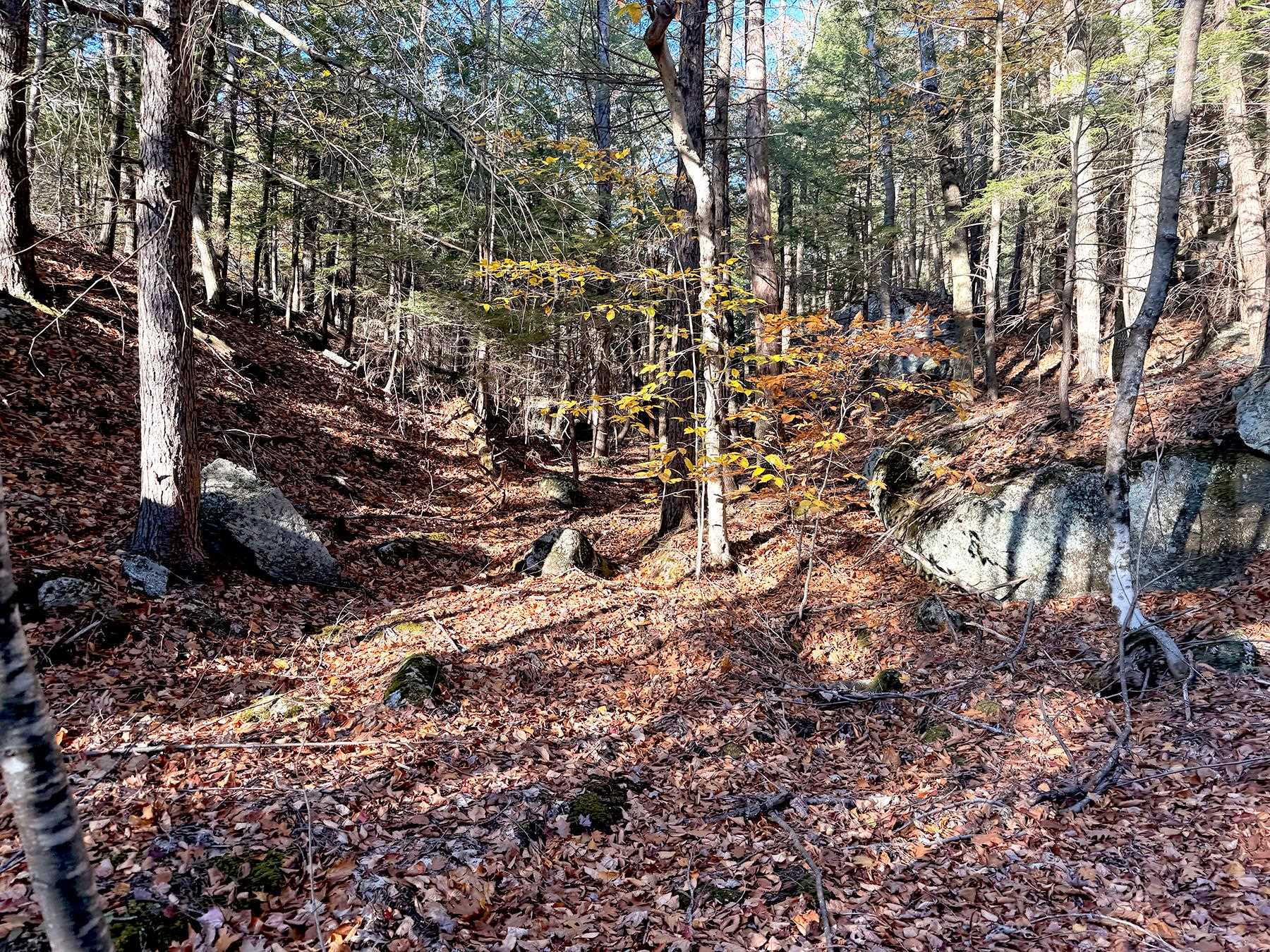 142 Henniker Road