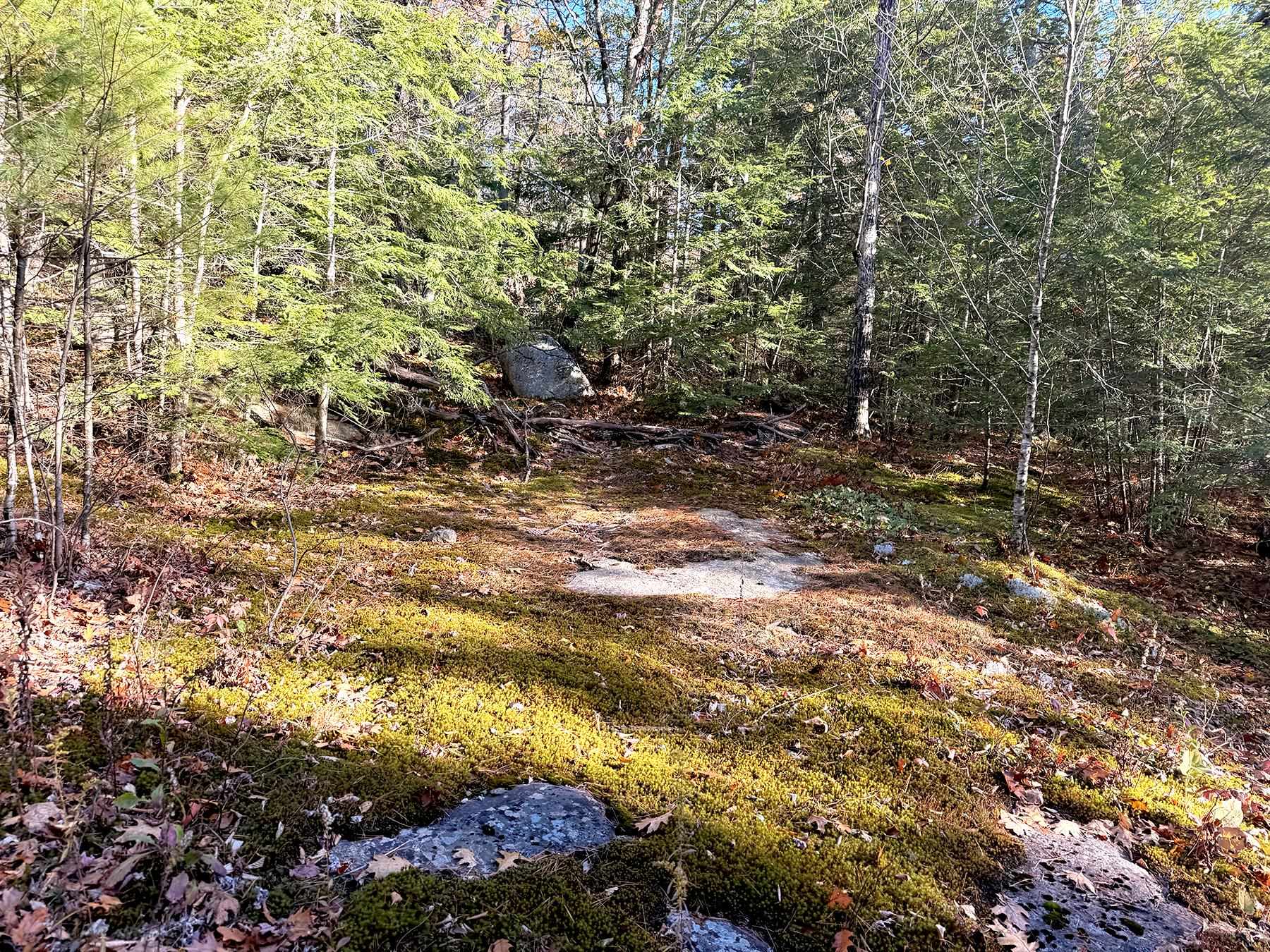 142 Henniker Road
