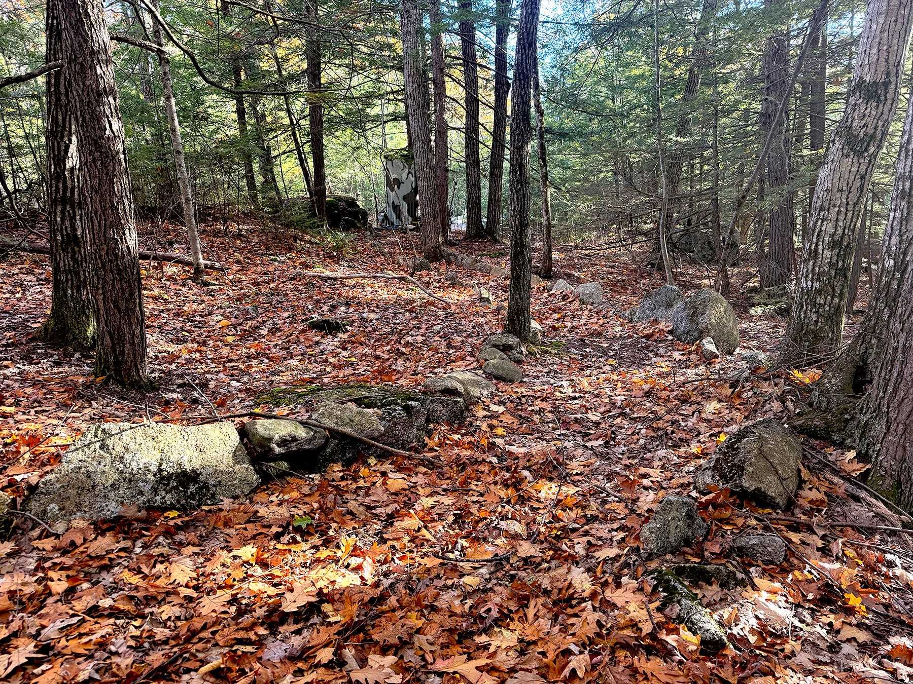 142 Henniker Road