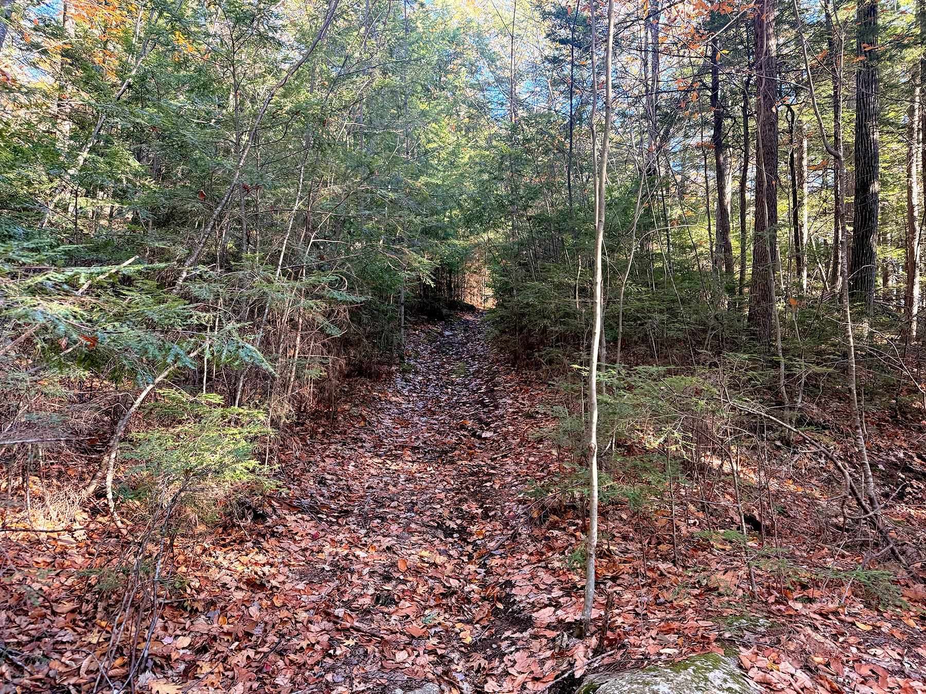 142 Henniker Road