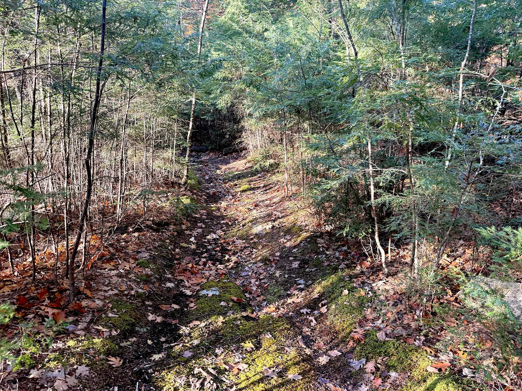 142 Henniker Road
