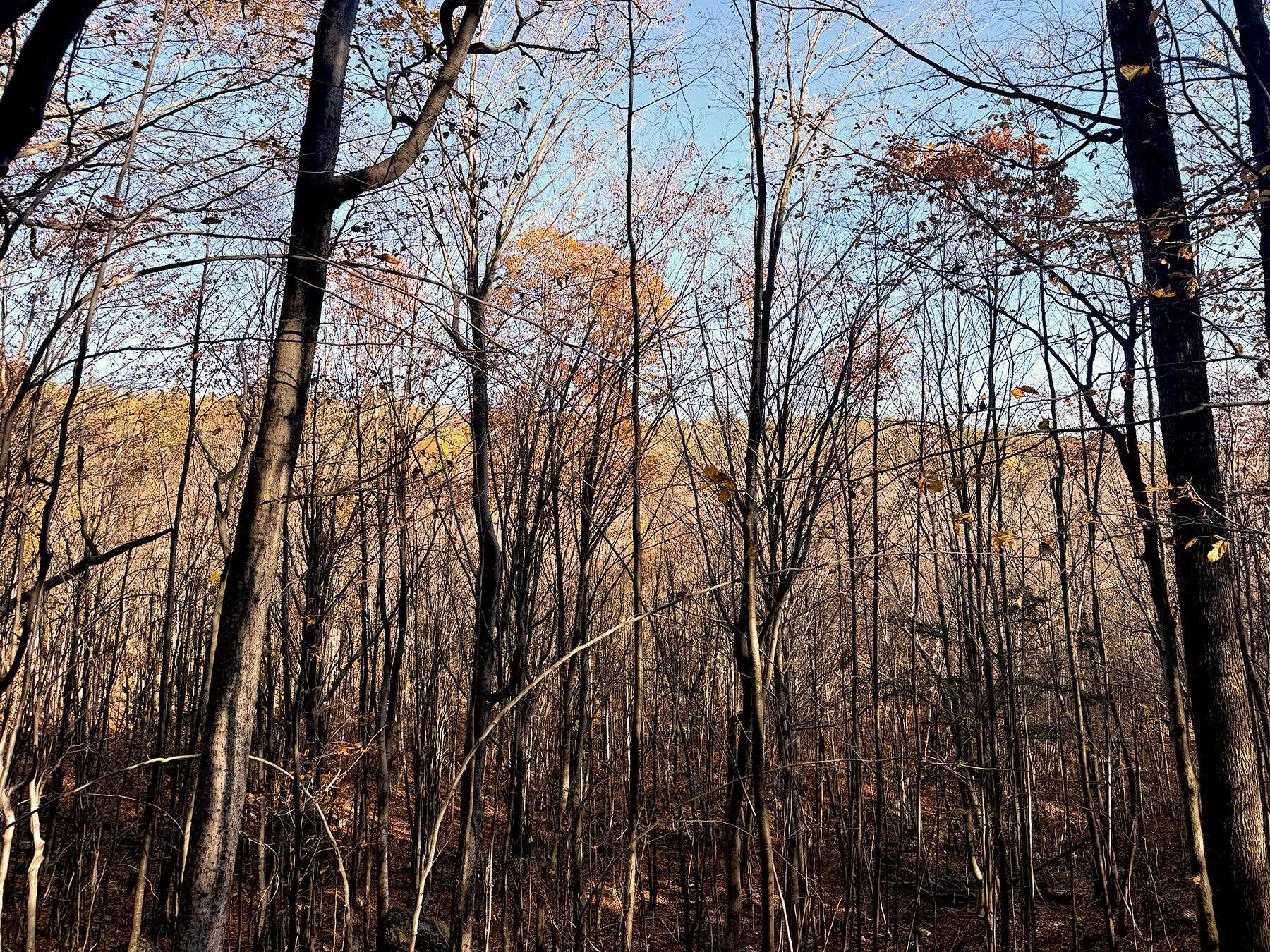 142 Henniker Road