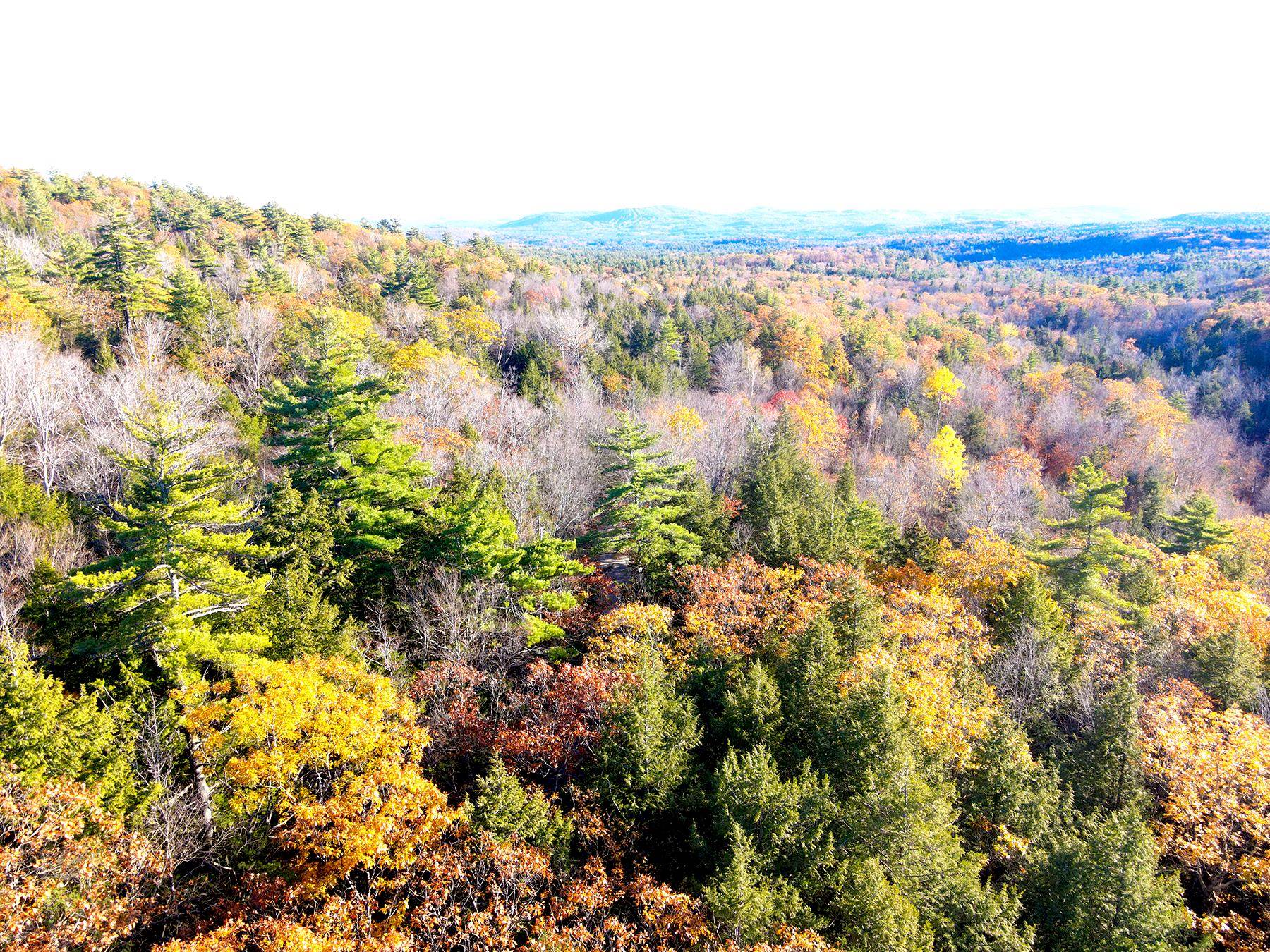 142 Henniker Road