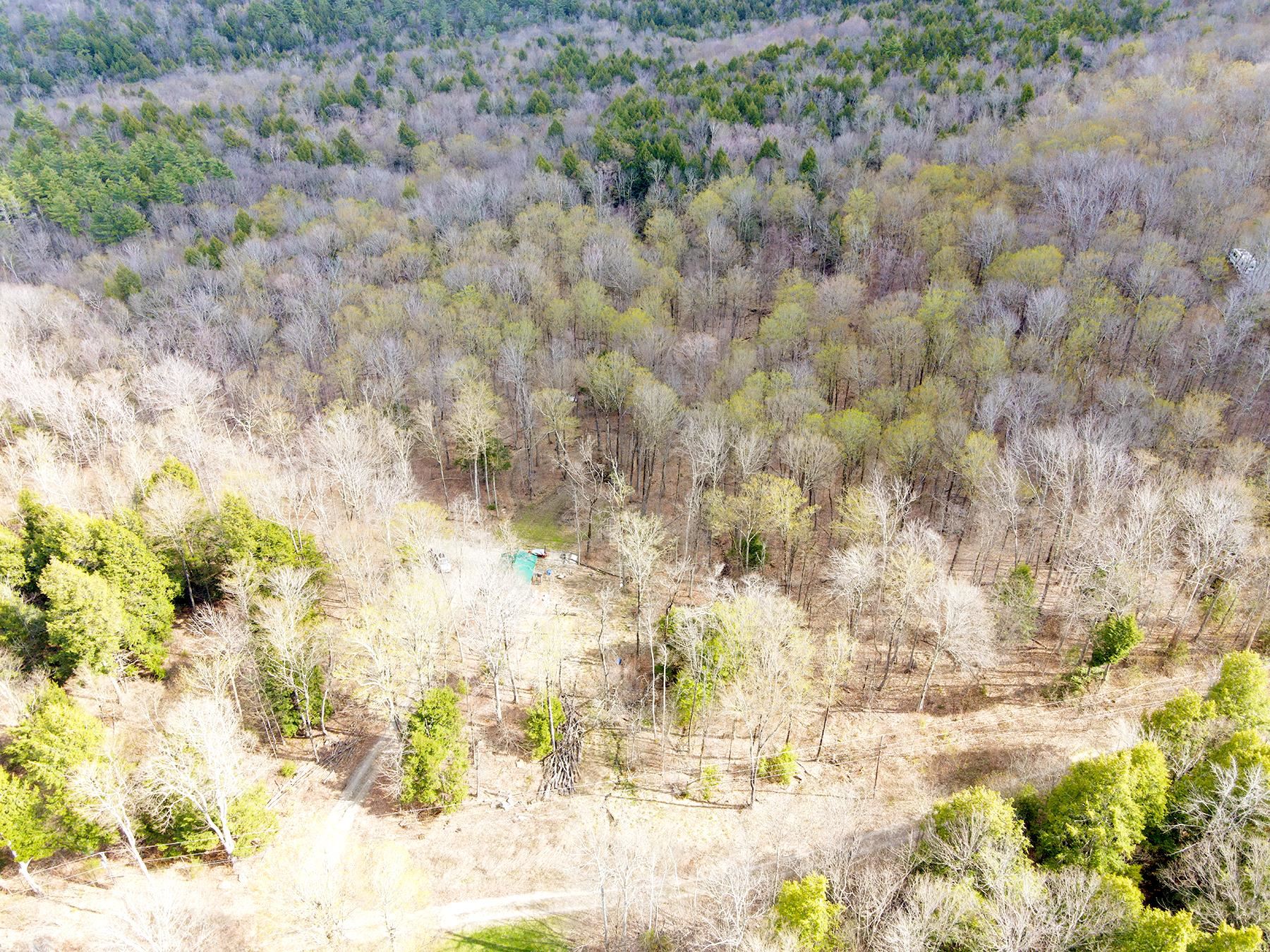 TM 202 L 7 Stark Road