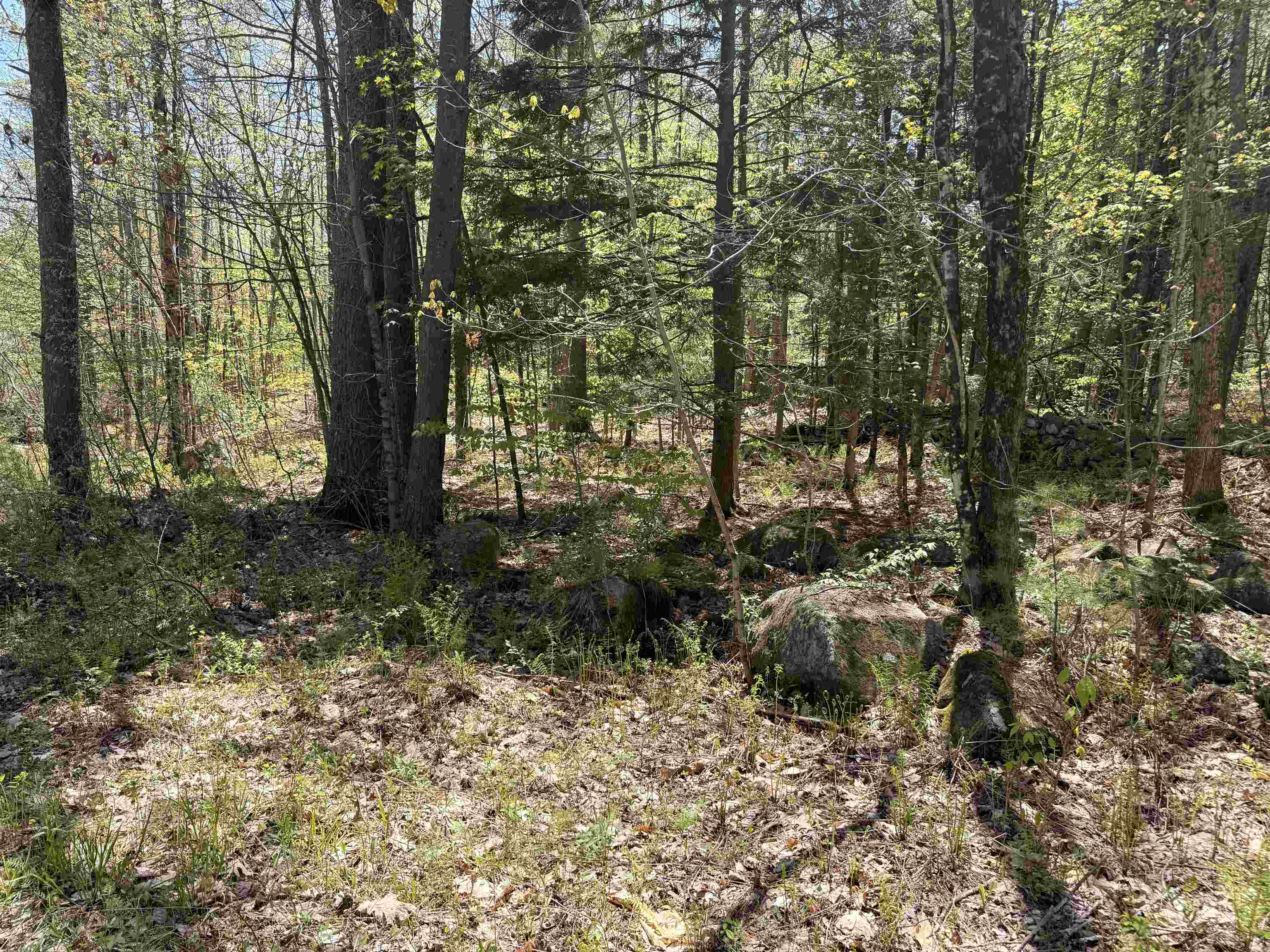 547 White Oaks Road