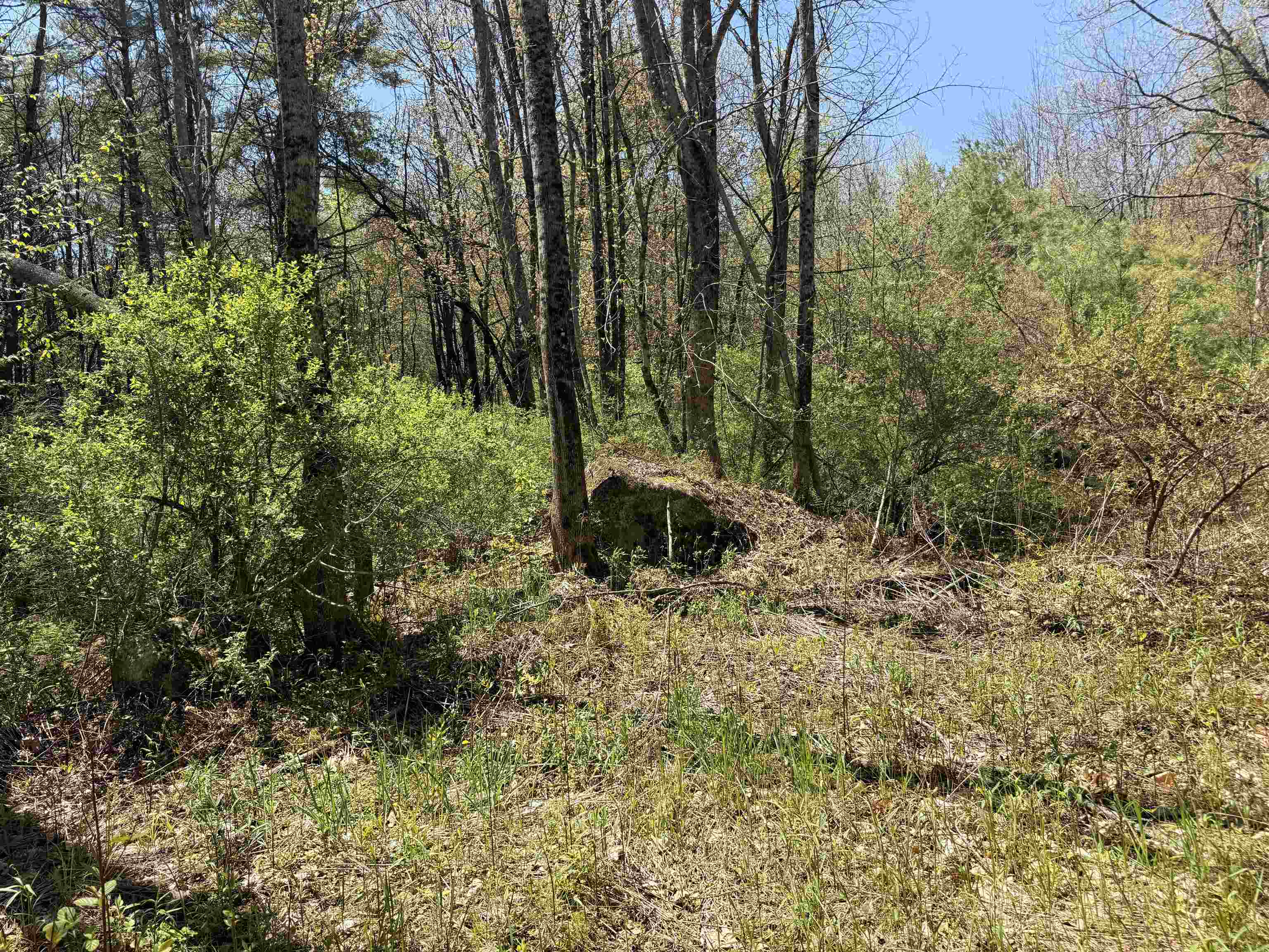 547 White Oaks Road