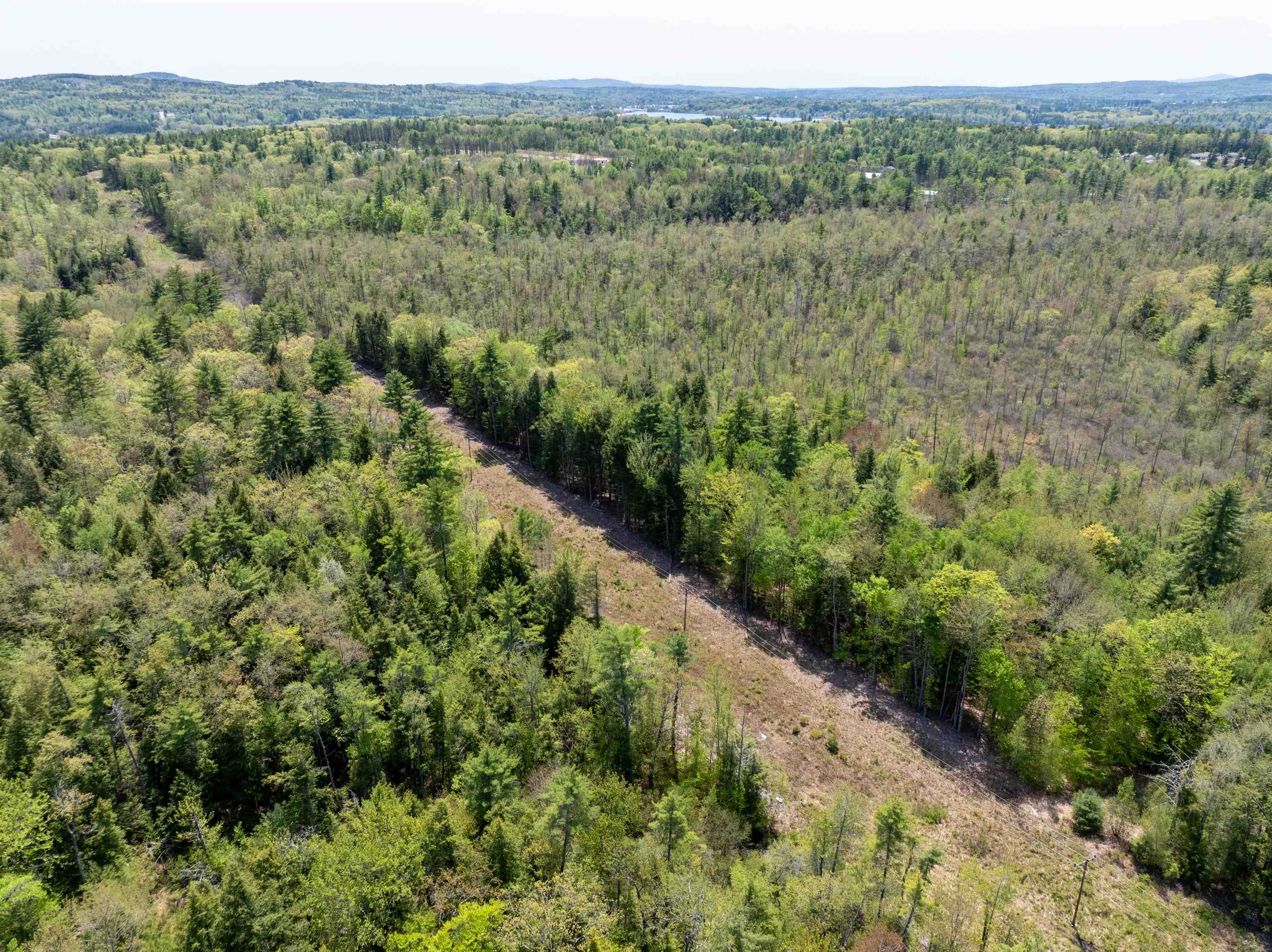 547 White Oaks Road