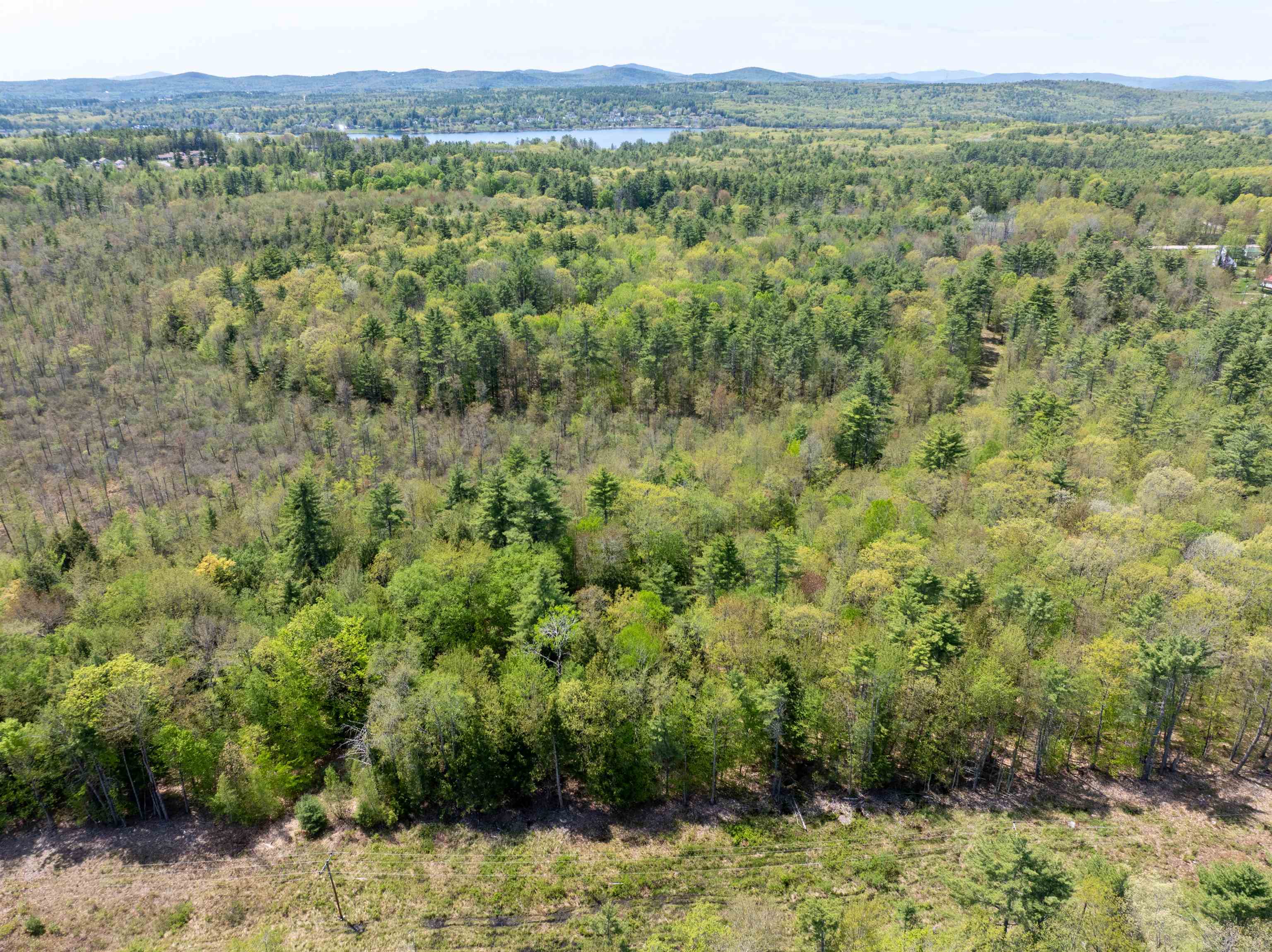 547 White Oaks Road