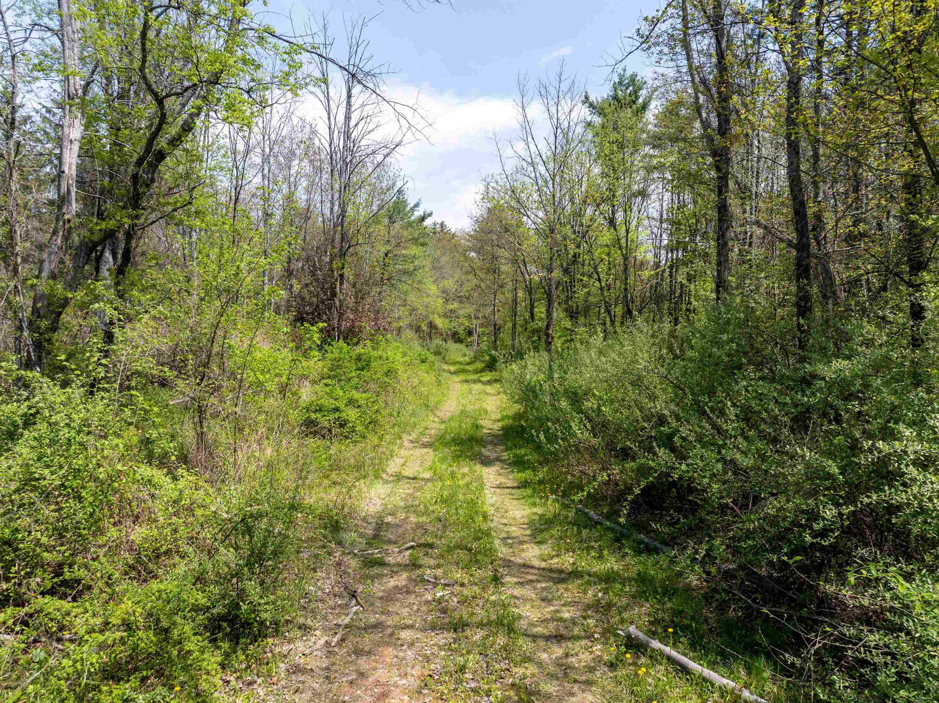 547 White Oaks Road