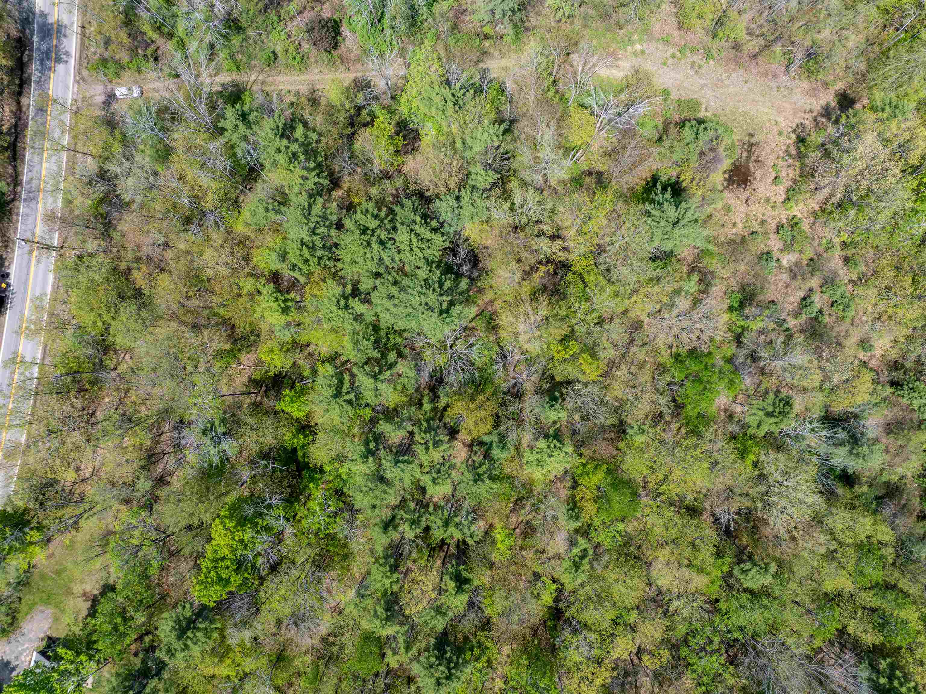 547 White Oaks Road