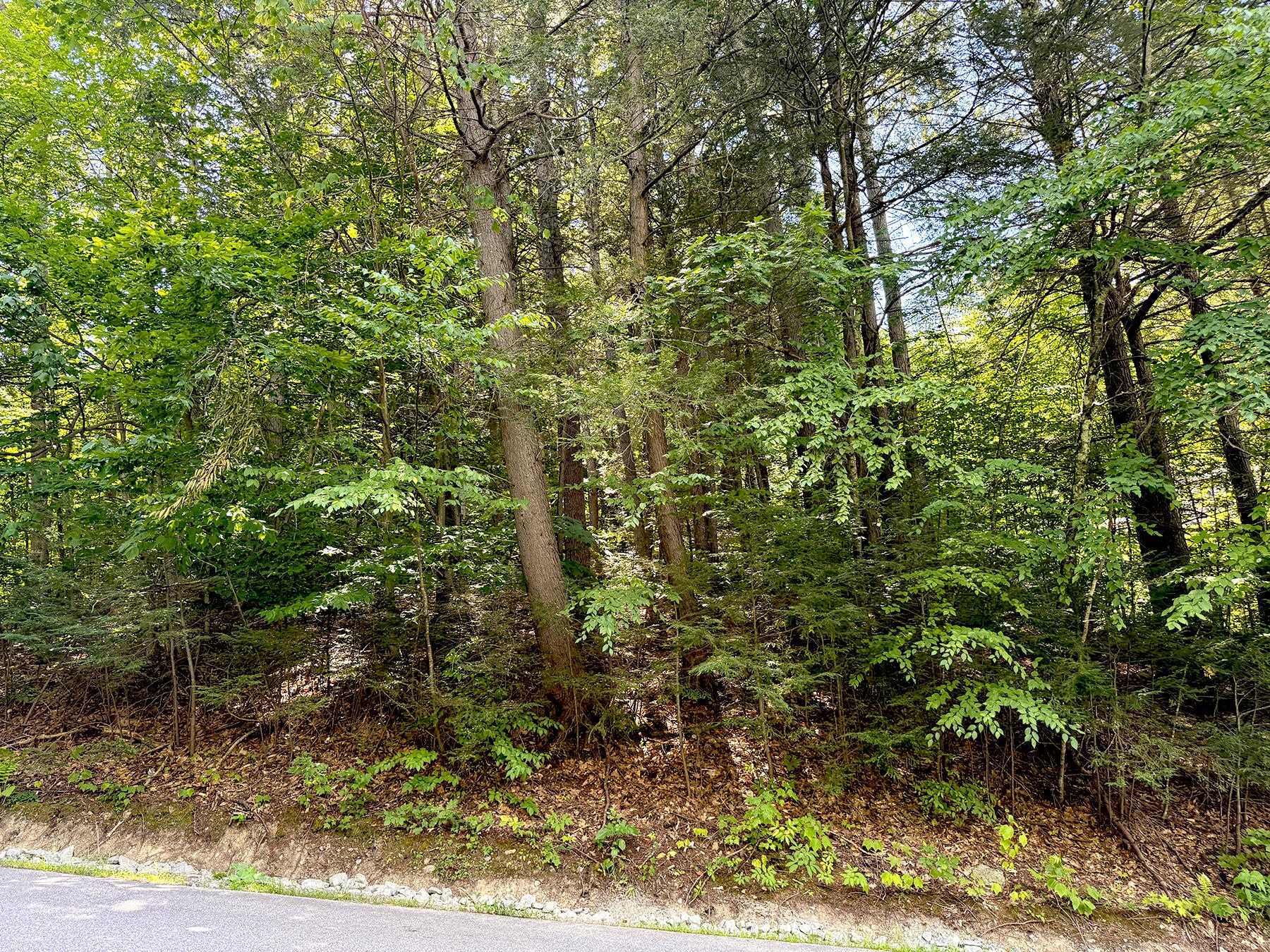 34 Leisure Drive