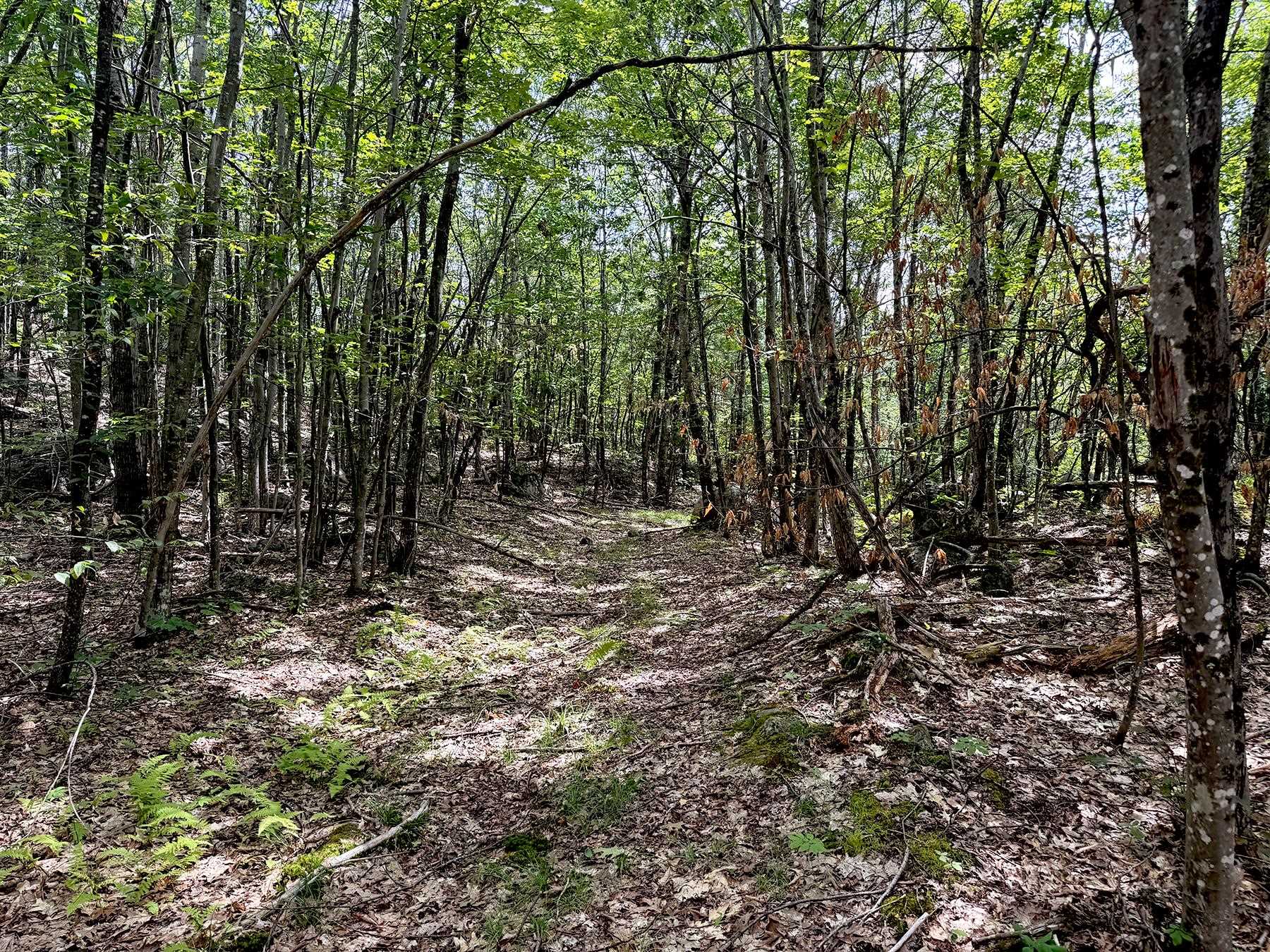 Poor Farm Road