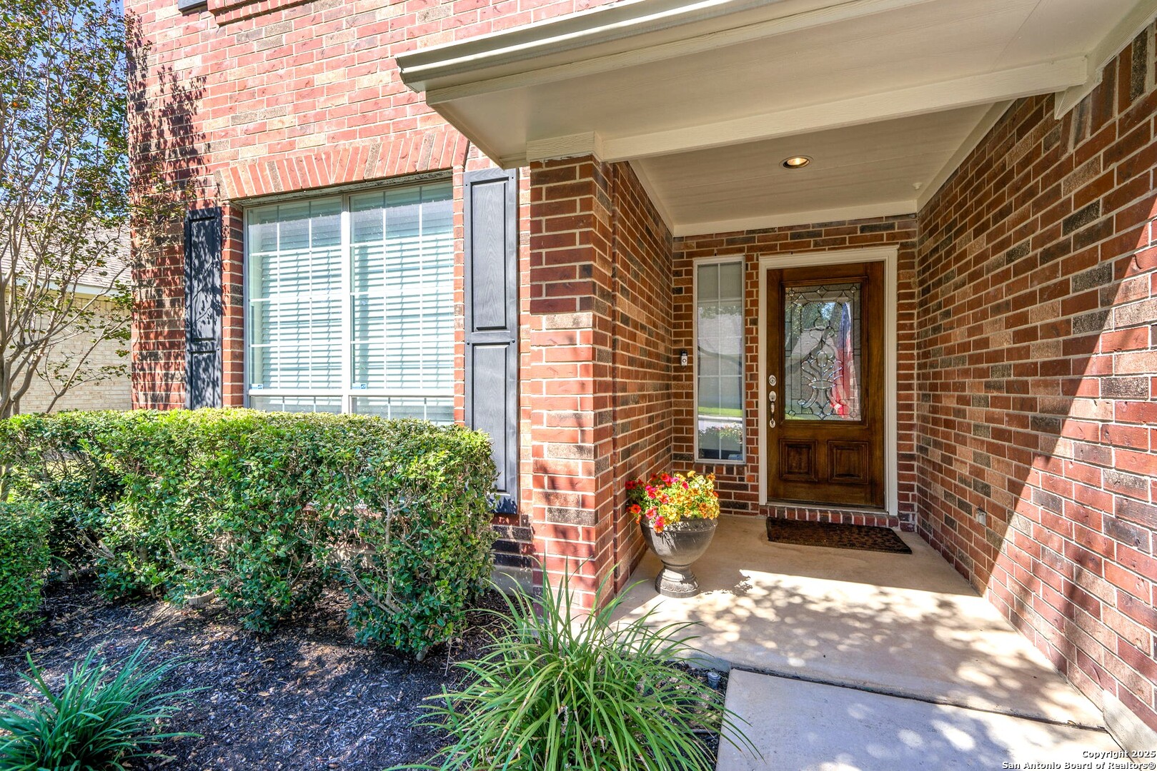 302 ASTER TRAIL