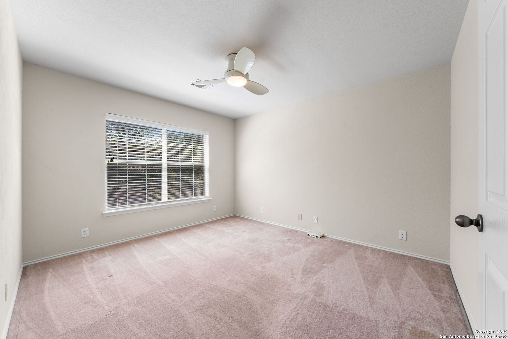 302 ASTER TRAIL
