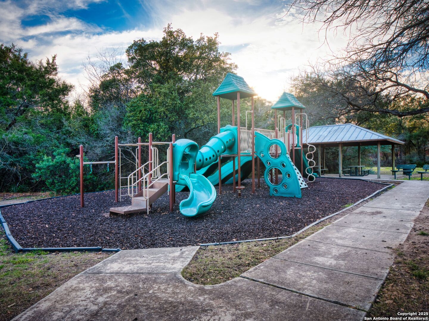 302 ASTER TRAIL