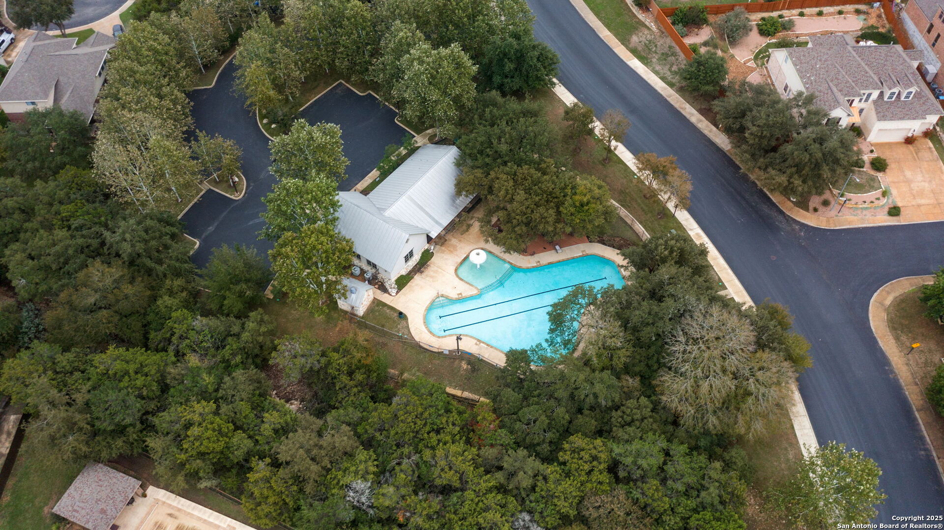 302 ASTER TRAIL