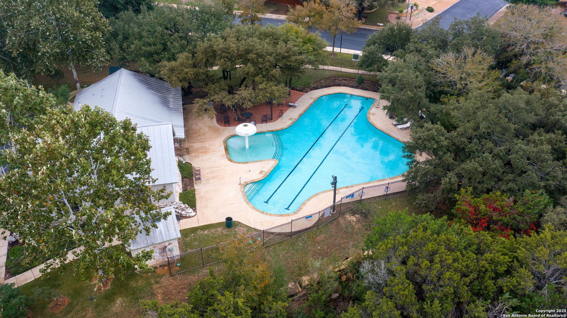 302 ASTER TRAIL