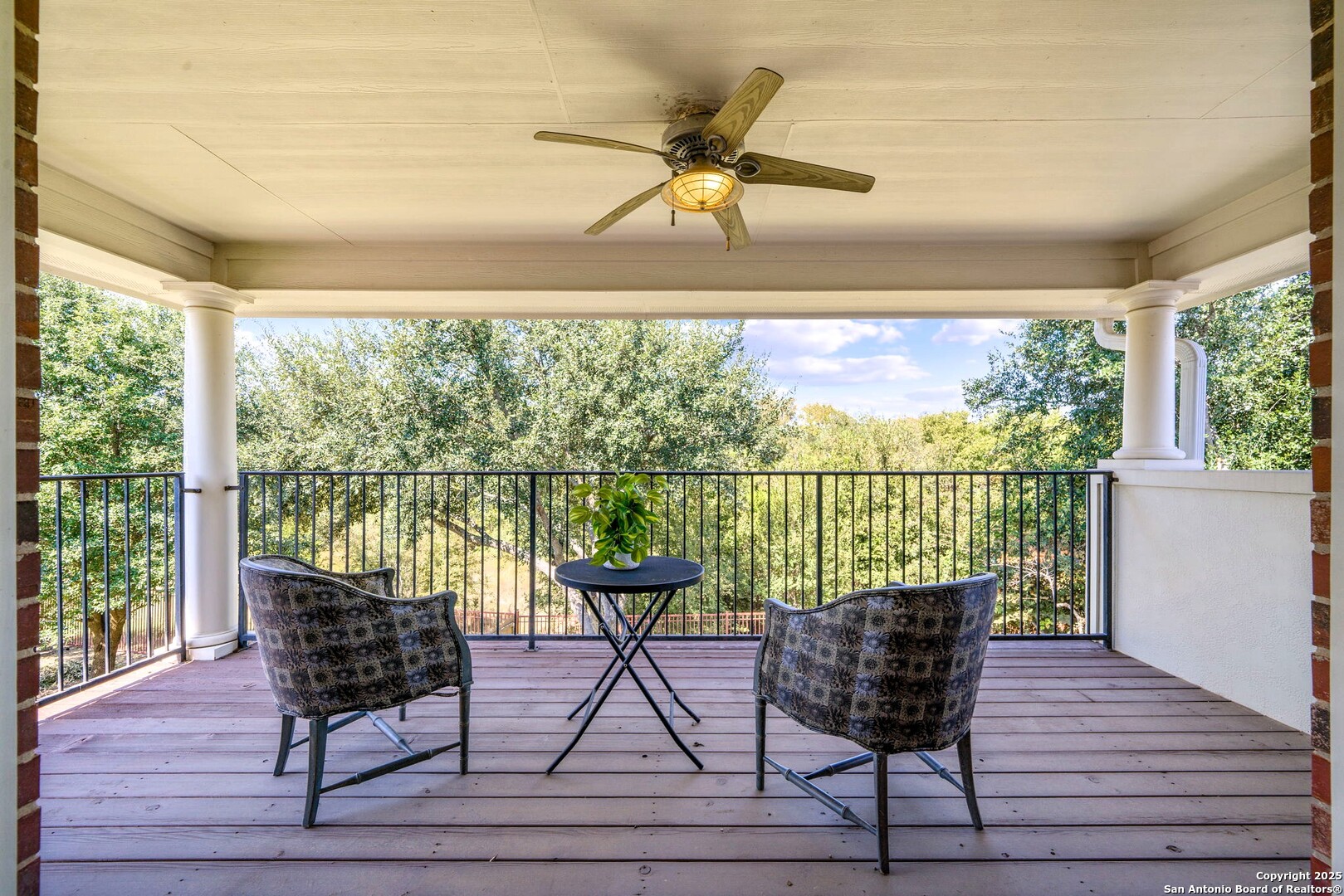302 ASTER TRAIL