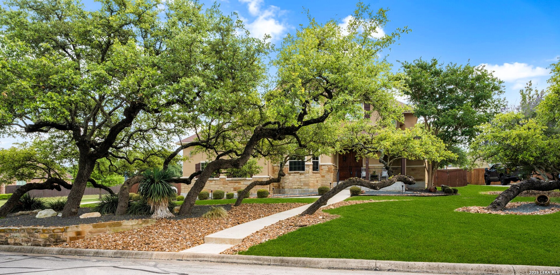 1126 Saddle Horse