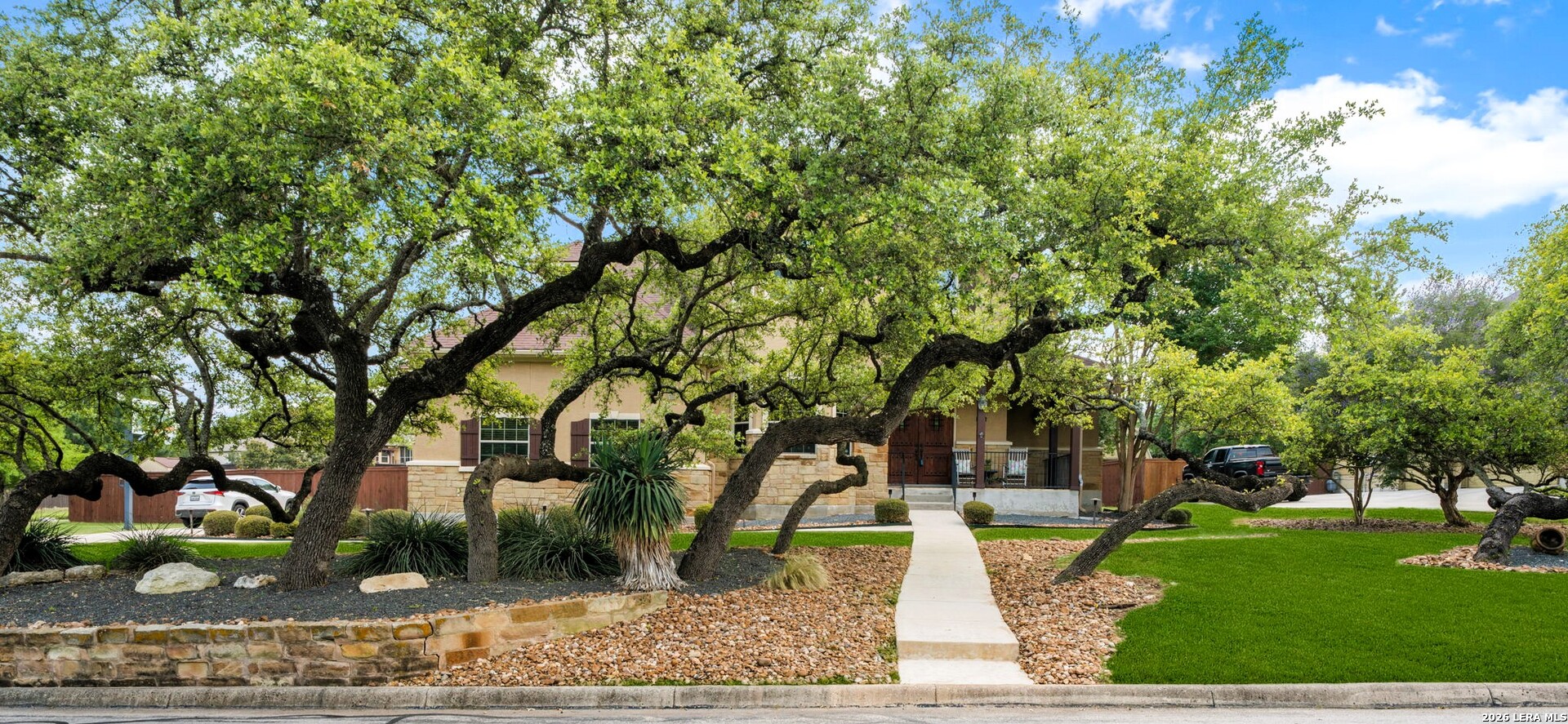 1126 Saddle Horse
