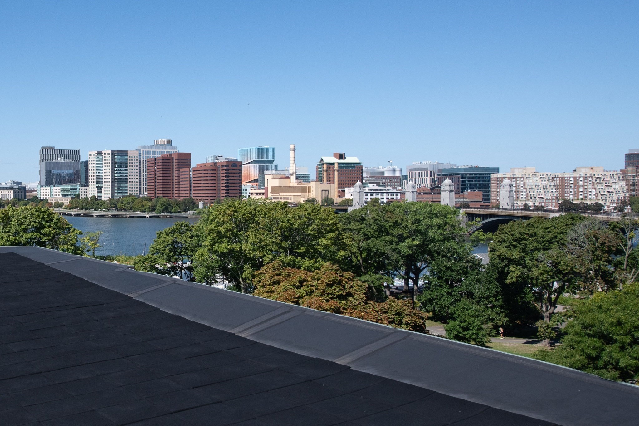 Boston skyline across the Charles River, with a bridge and leafy treetops in front.