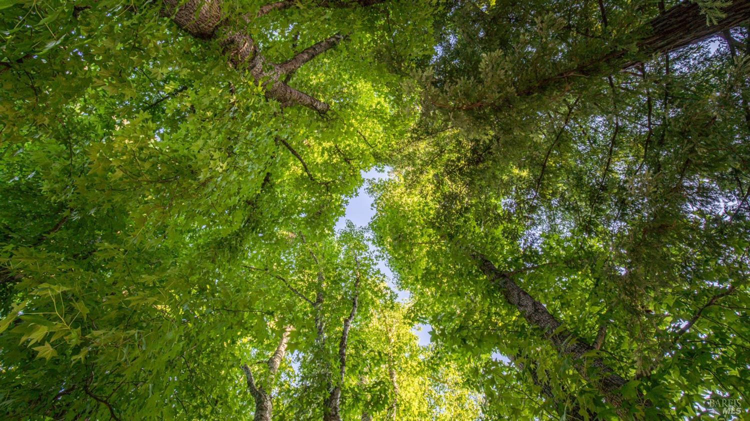 17 Prairie Falcon Dr