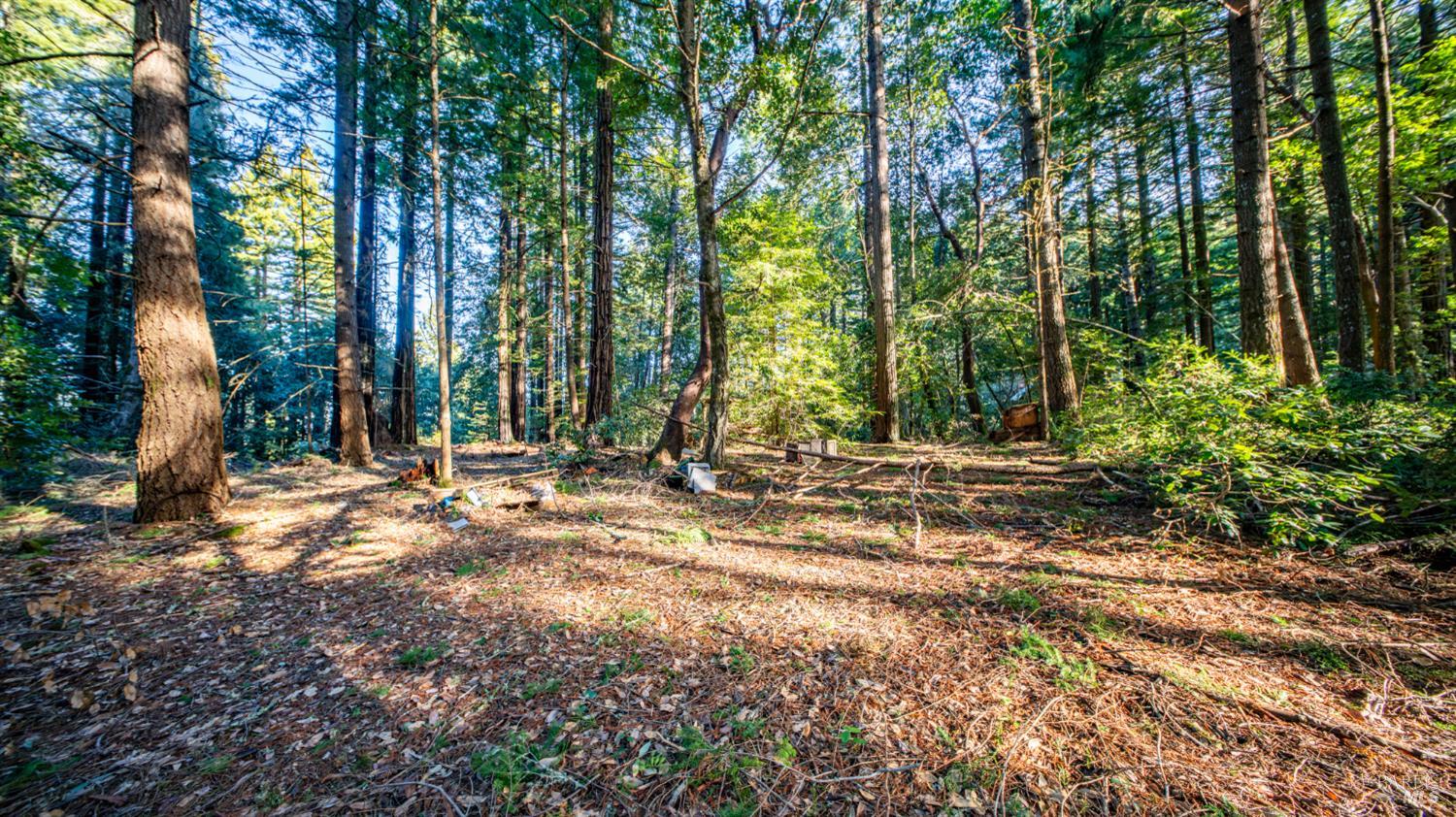 17470 Willow Creek Road