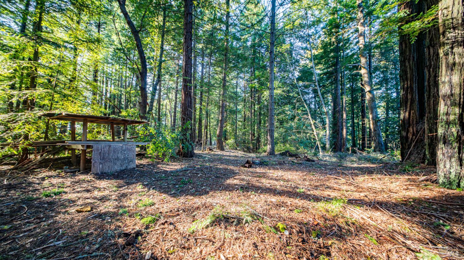 17470 Willow Creek Road